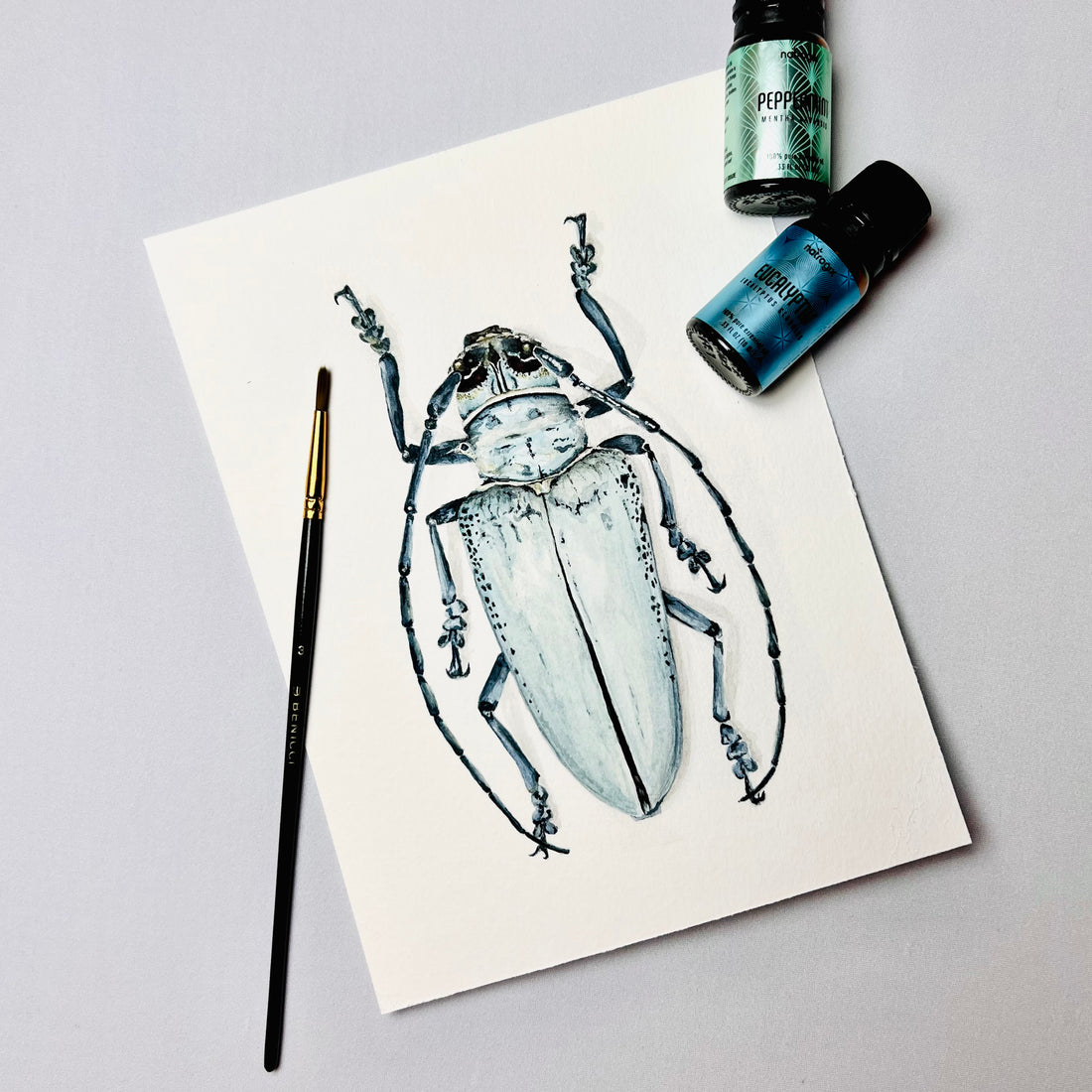 Beetles: More Than Just Creepy Crawlies