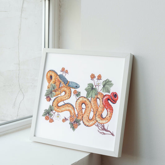 15 Gift Ideas for Reptile Lovers