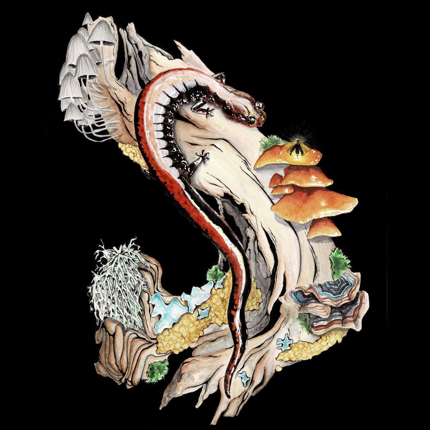 Red-Backed Salamander Art Print (Dark) - Ren