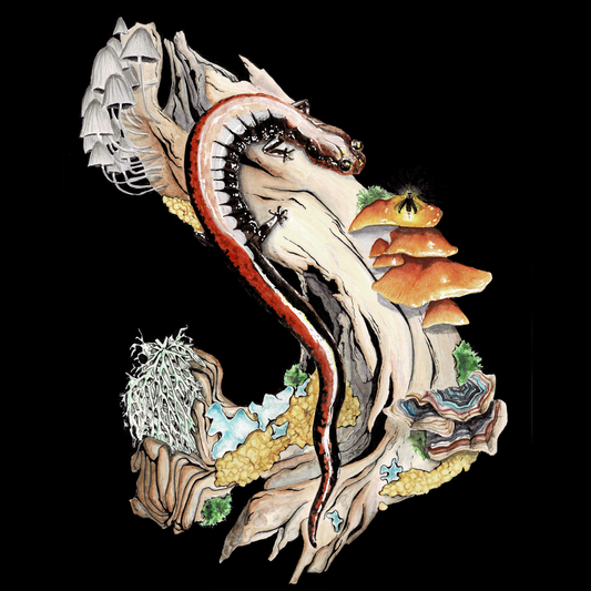 Red-Backed Salamander Art Print (Dark) - Ren