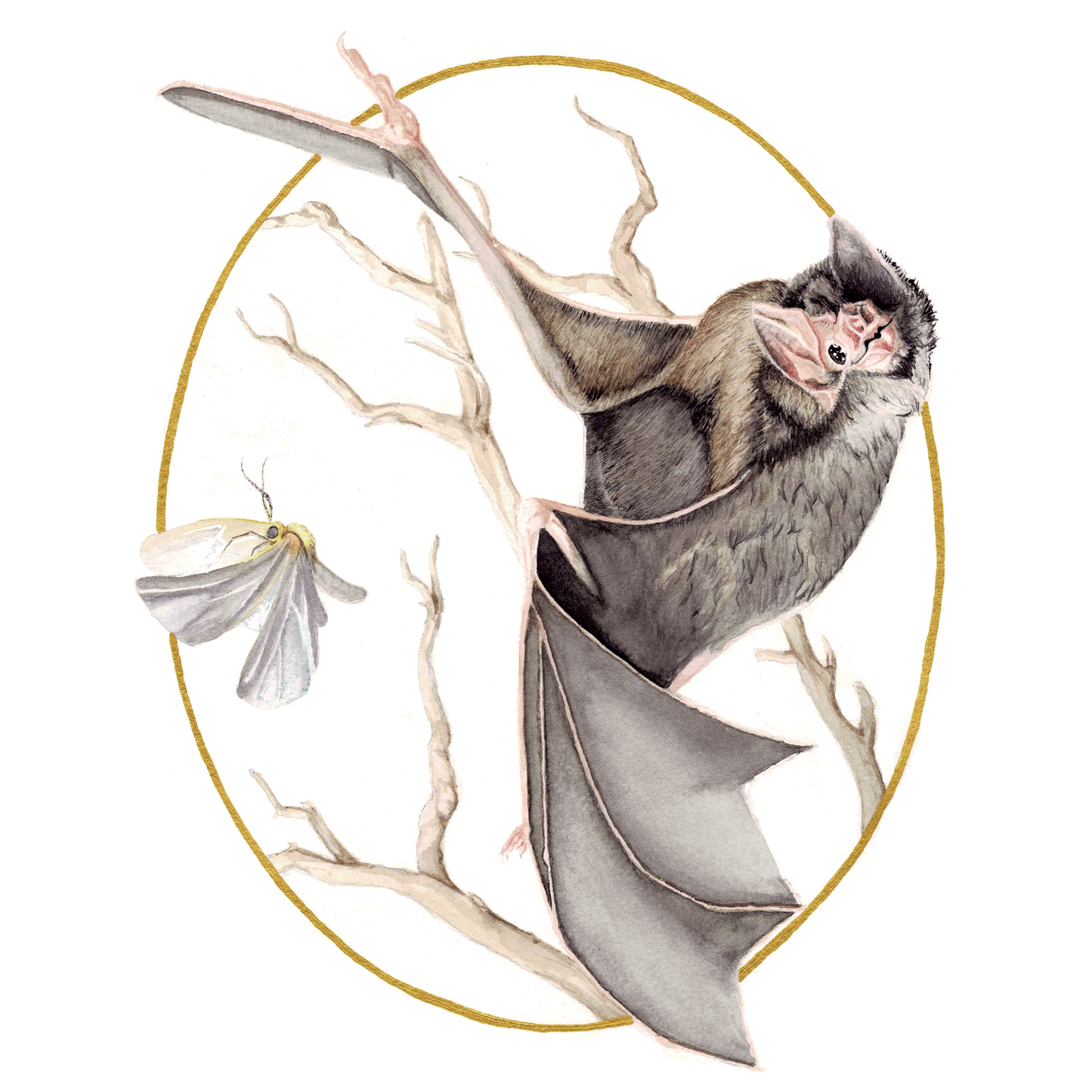 Bat & Moth Art Print (Light) - Nyx