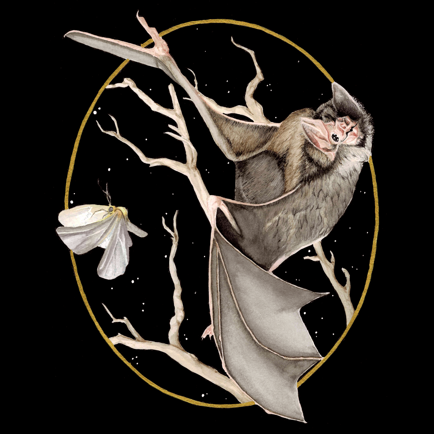 Bat & Moth Art Print (Dark) - Nyx