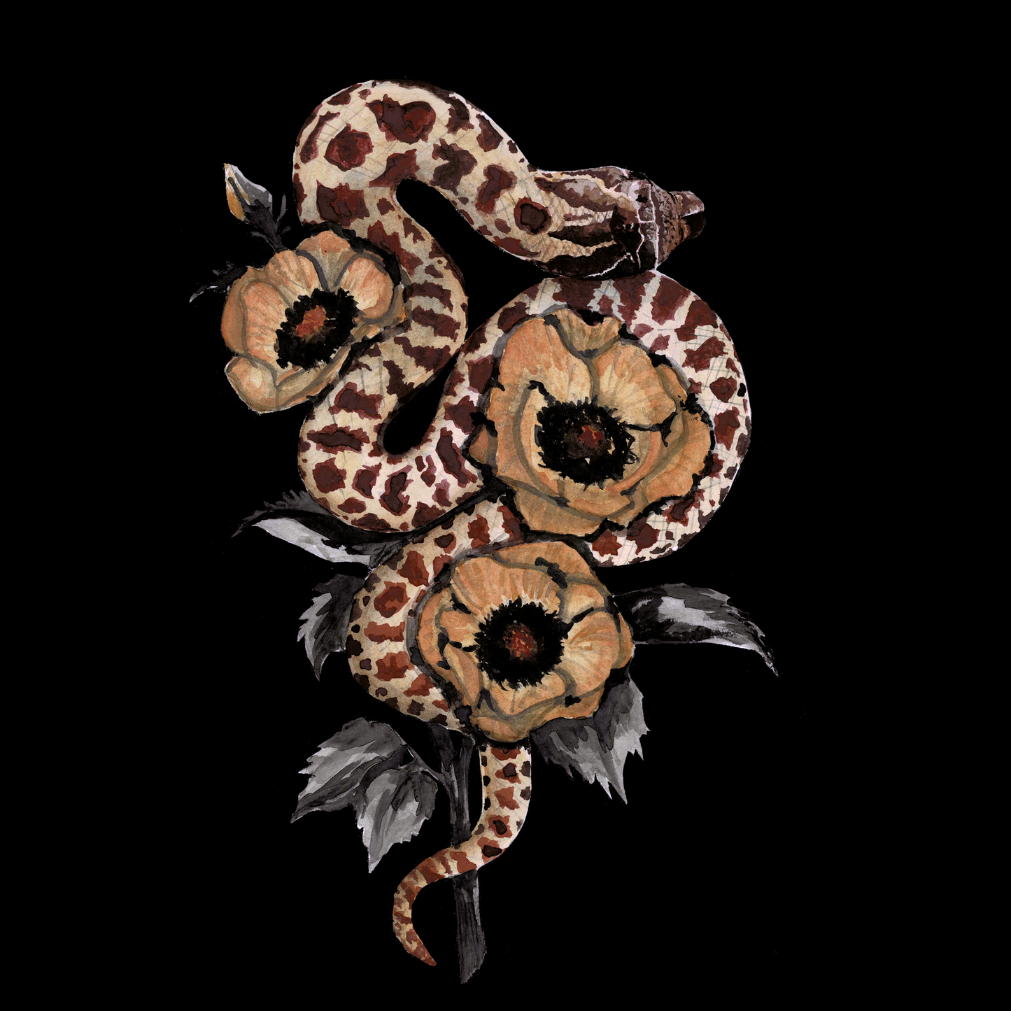 Western Hognose Snake Art Print (Dark) - Helix