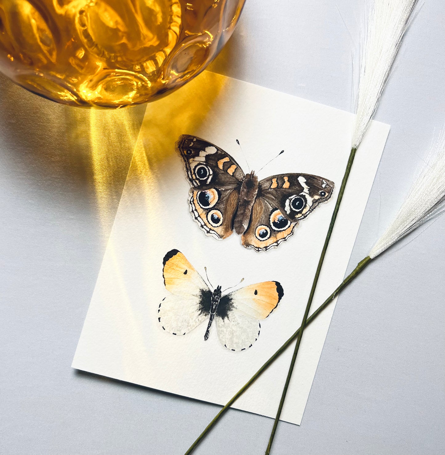 Buckeye & Orangetip Butterfly Art Print - Jophiel & Julius