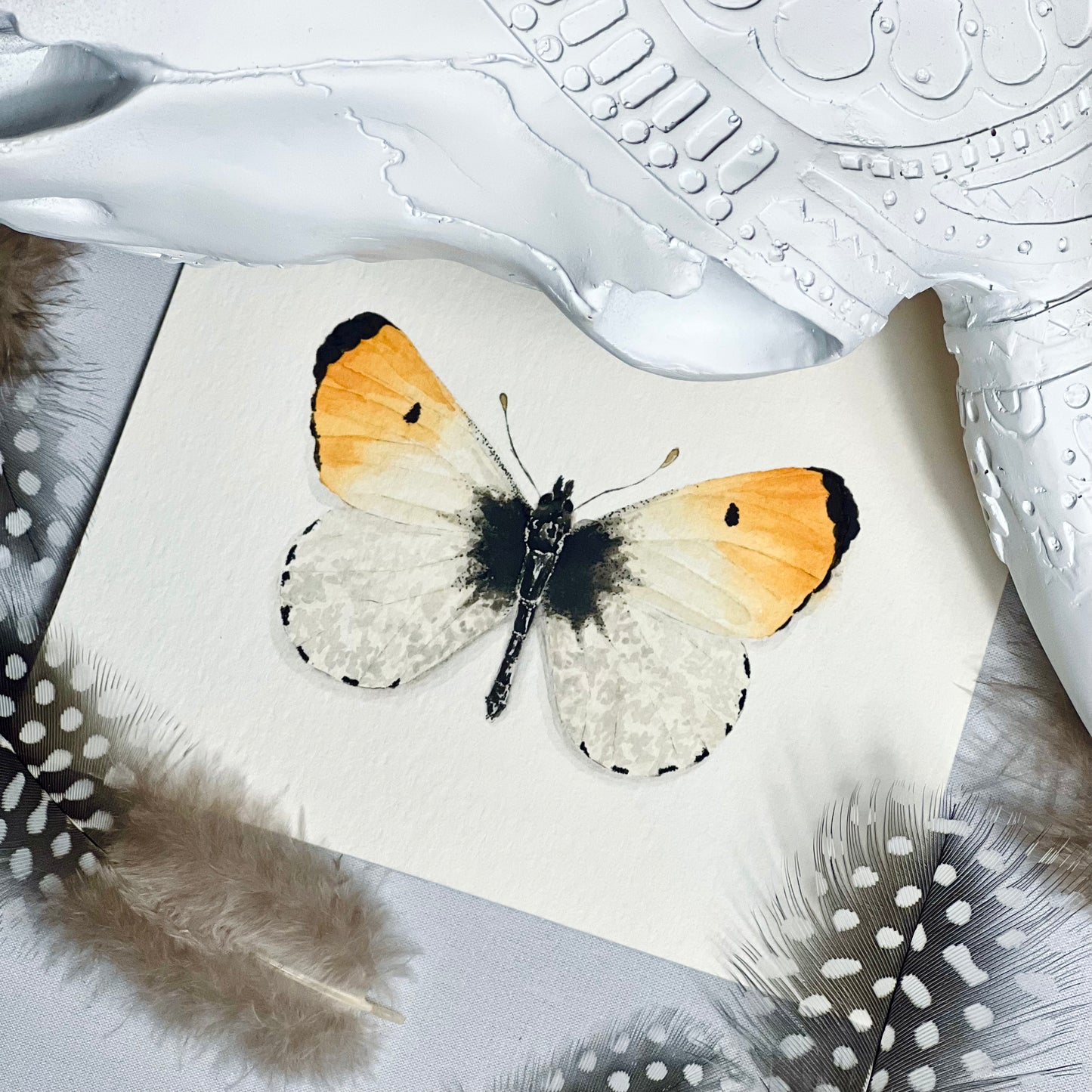 Orangetip Butterfly Art Print - Julius