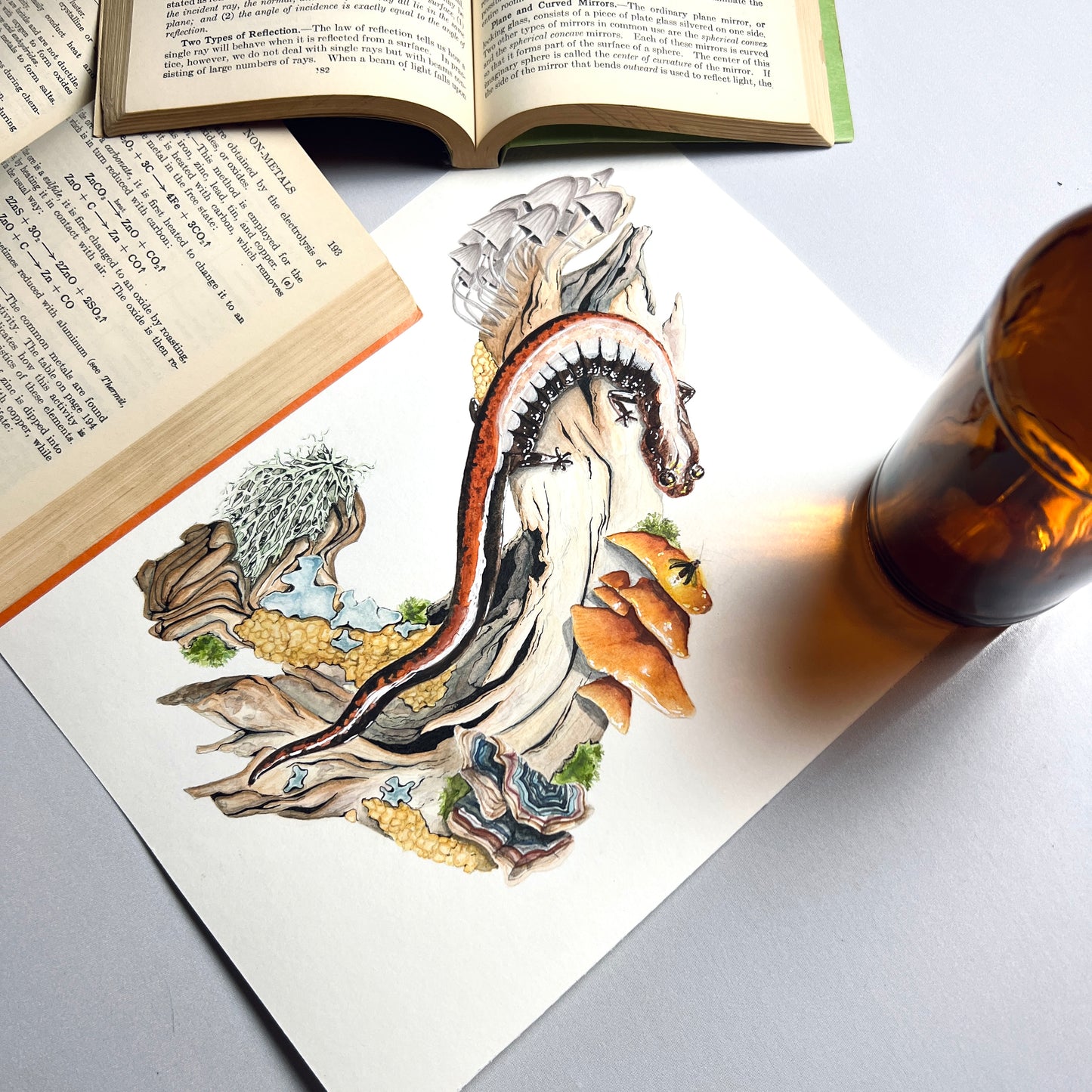Red-Backed Salamander Art Print (Light)- Ren