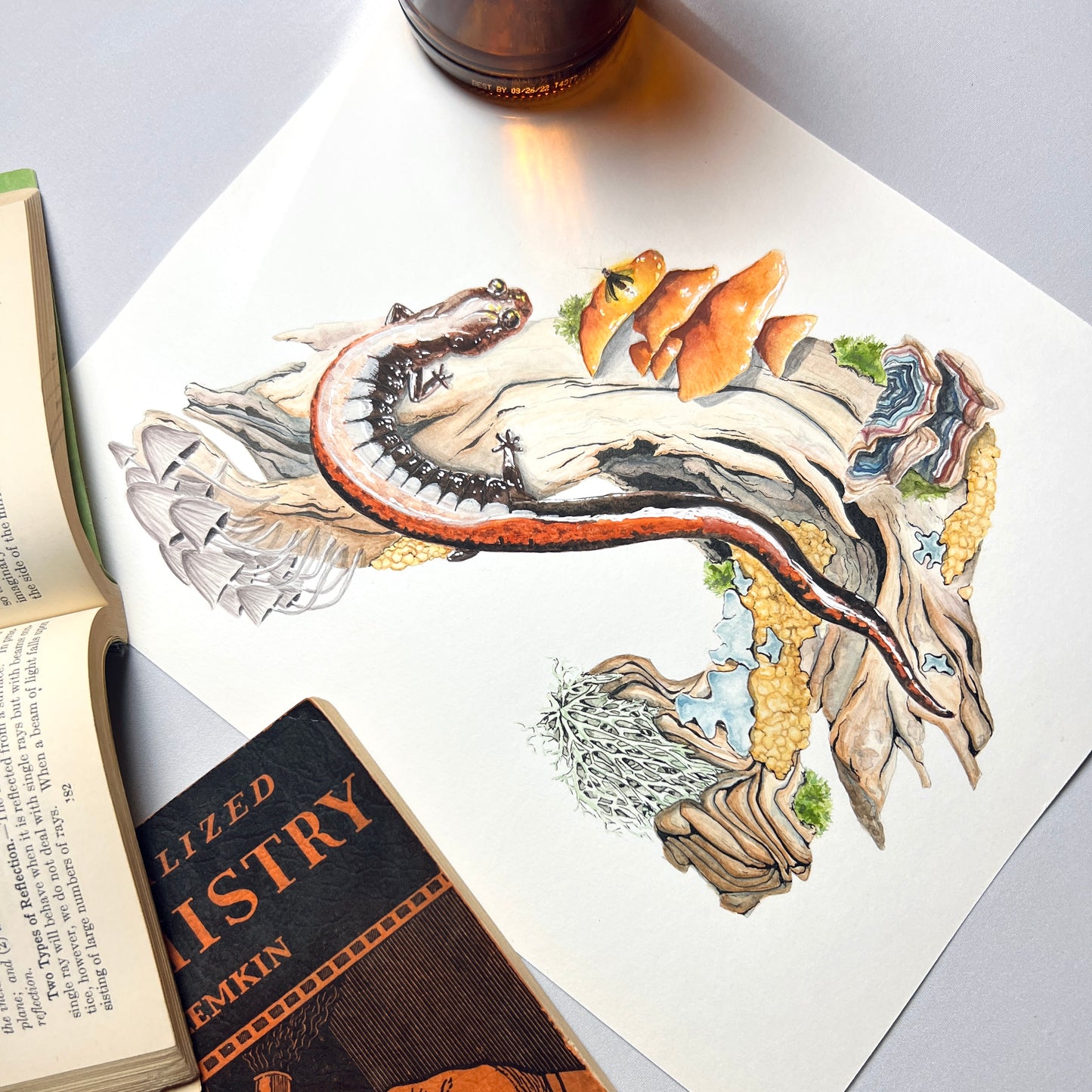 Red-Backed Salamander Art Print (Light)- Ren
