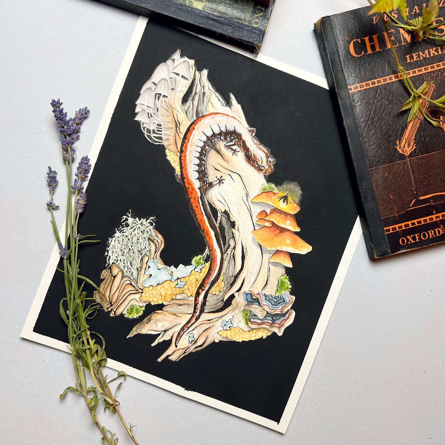 Red-Backed Salamander Art Print (Dark) - Ren