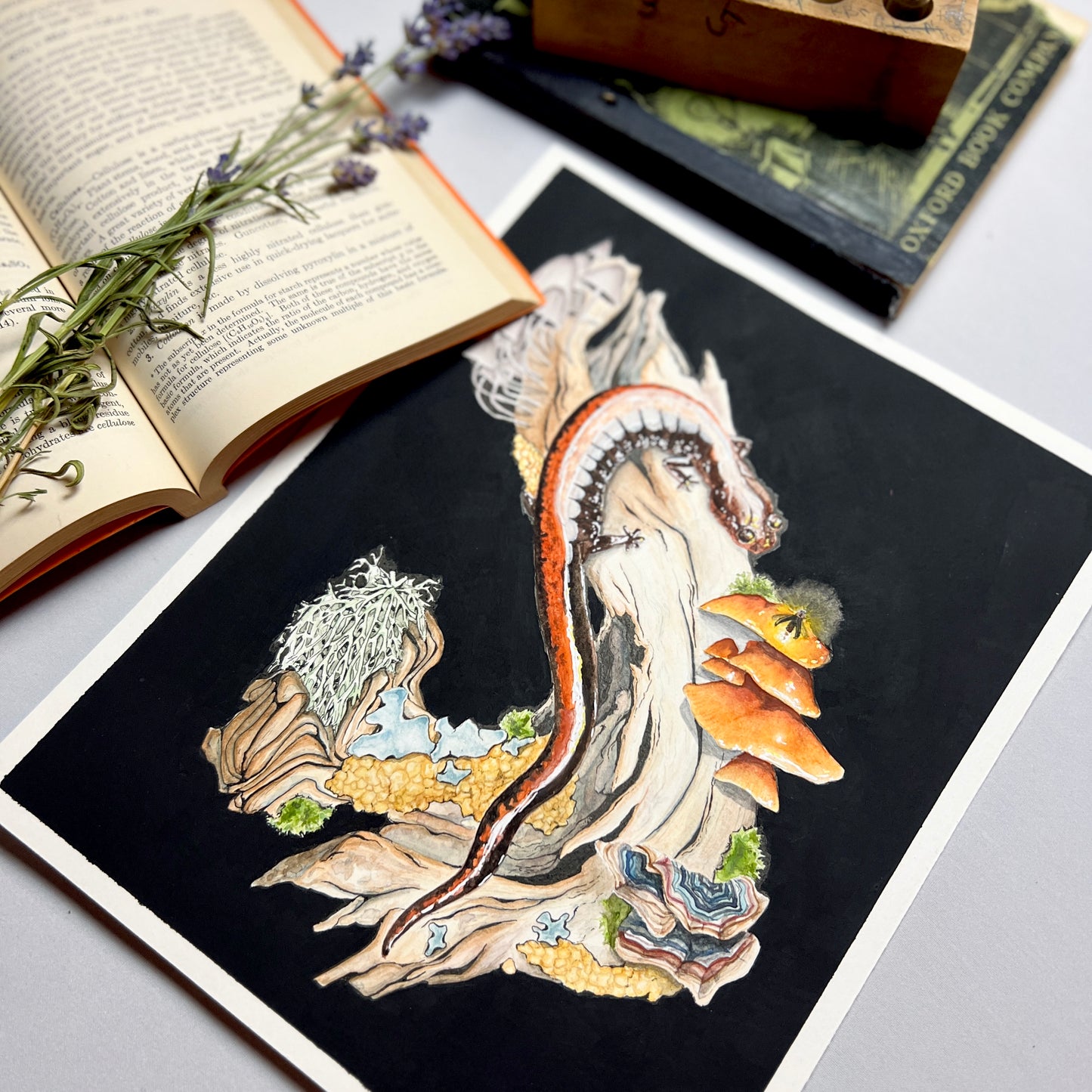 Red-Backed Salamander Art Print (Dark) - Ren