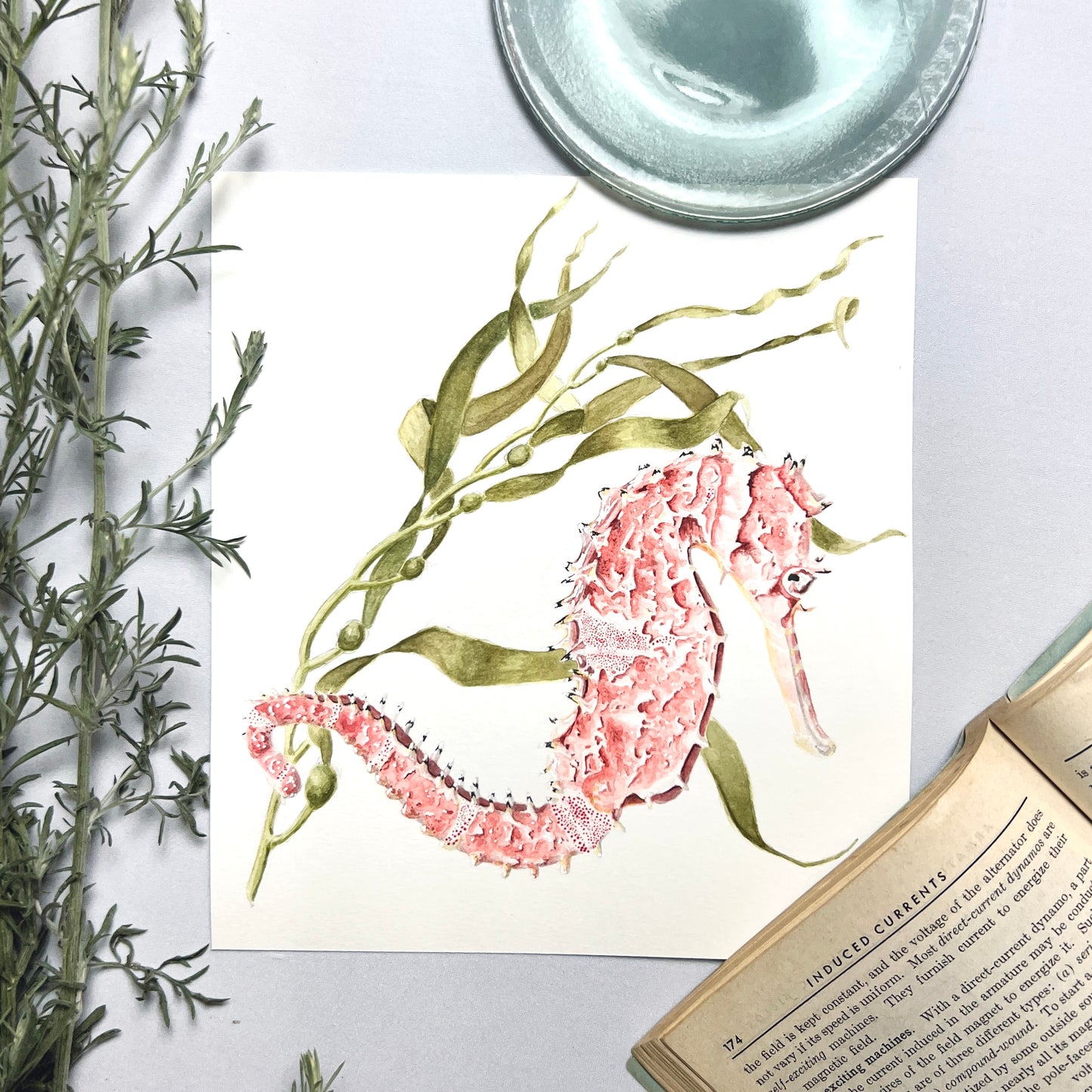 Seahorse and Seaweed Art Print - Silas