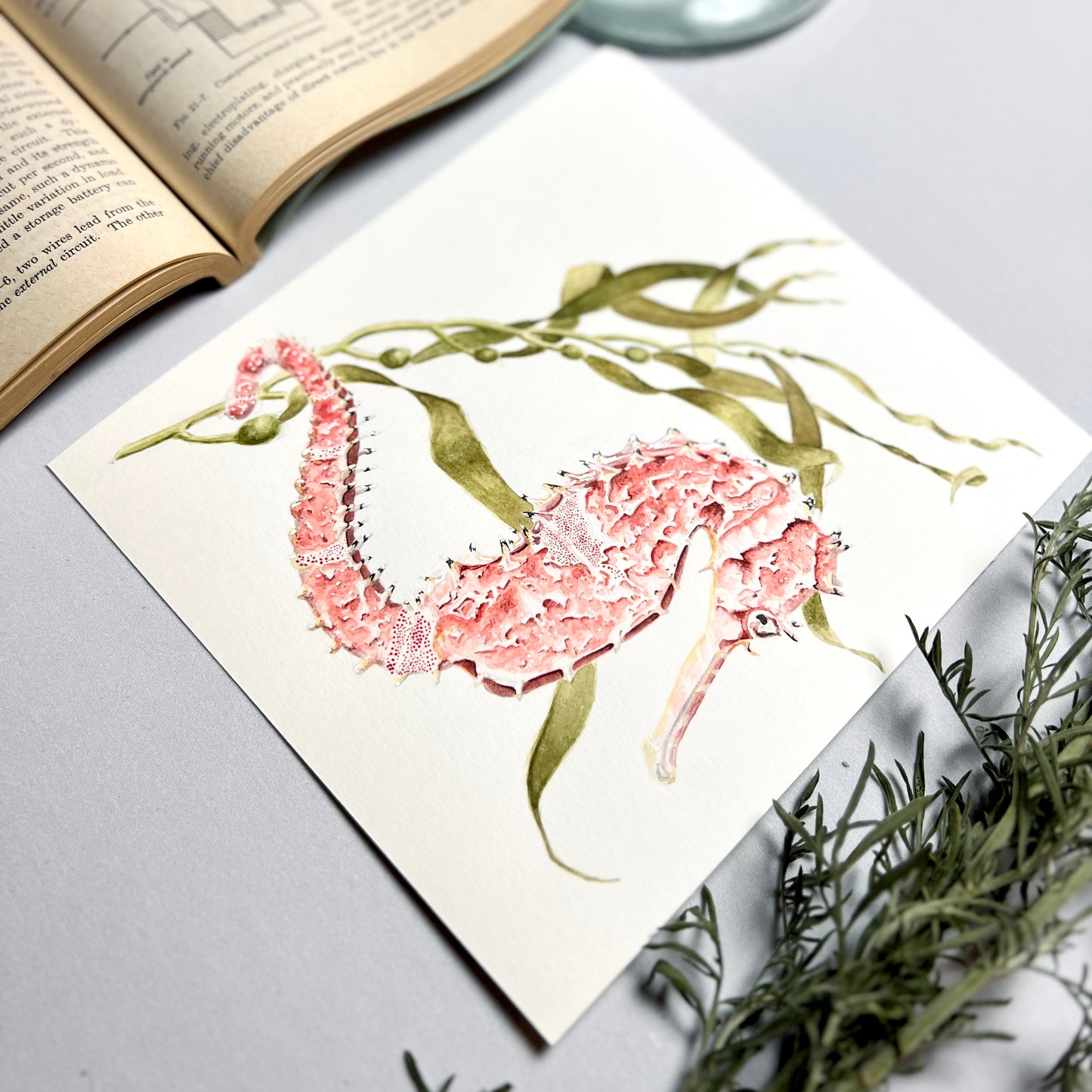 Seahorse and Seaweed Art Print - Silas
