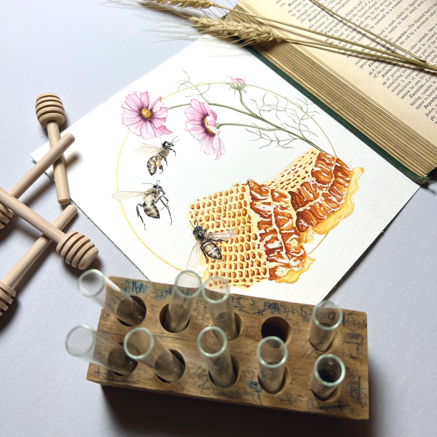 Honeybee Art Print - Miel, Melite, & Asal