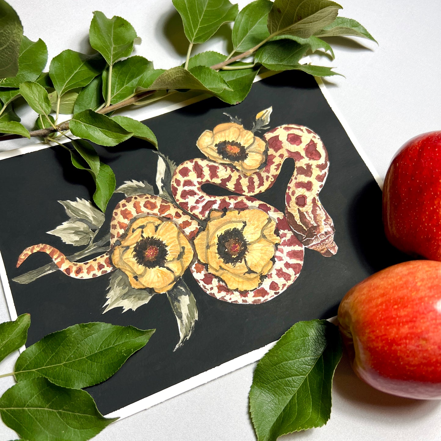 Western Hognose Snake Art Print (Dark) - Helix