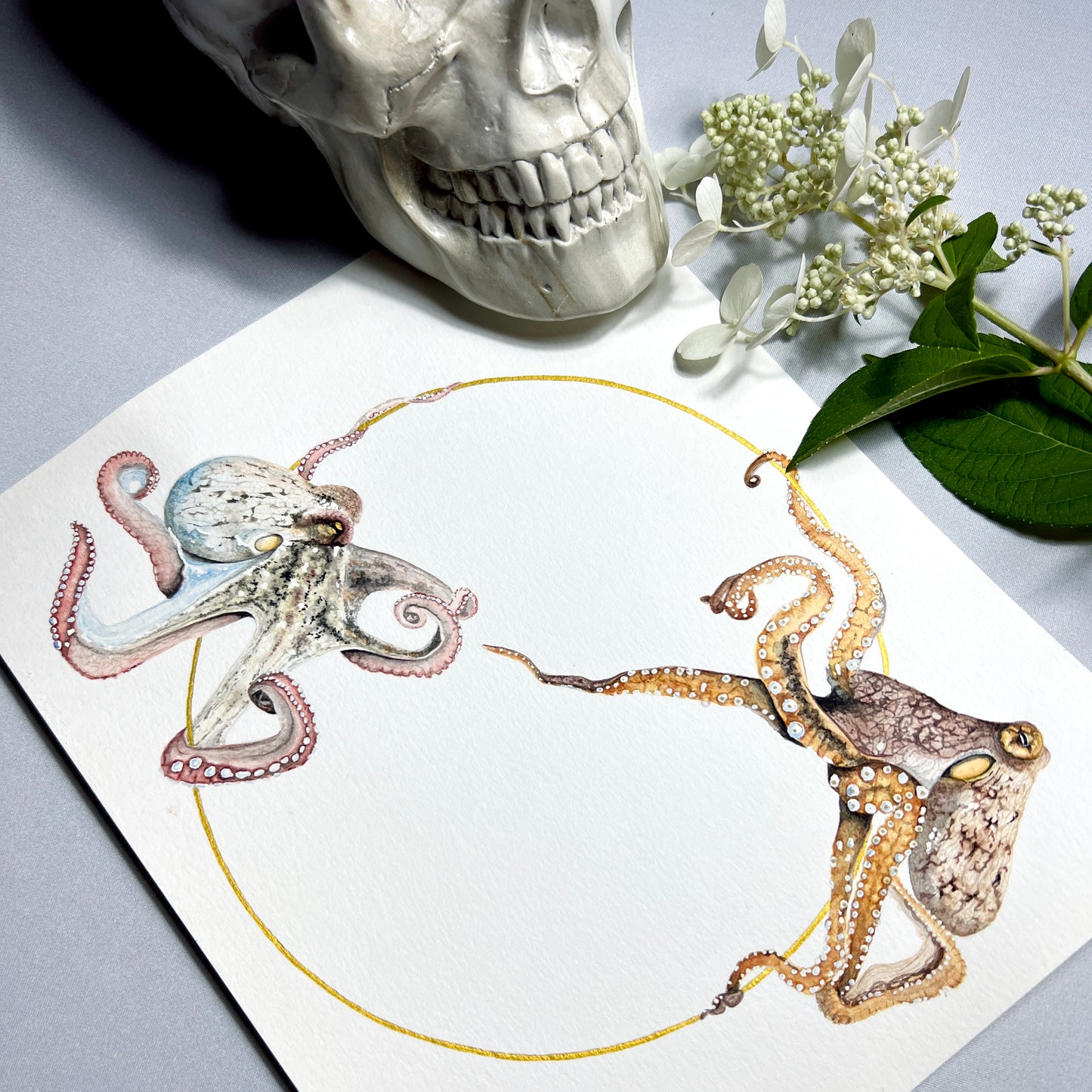 Octopus Art Print - Sol & Lune
