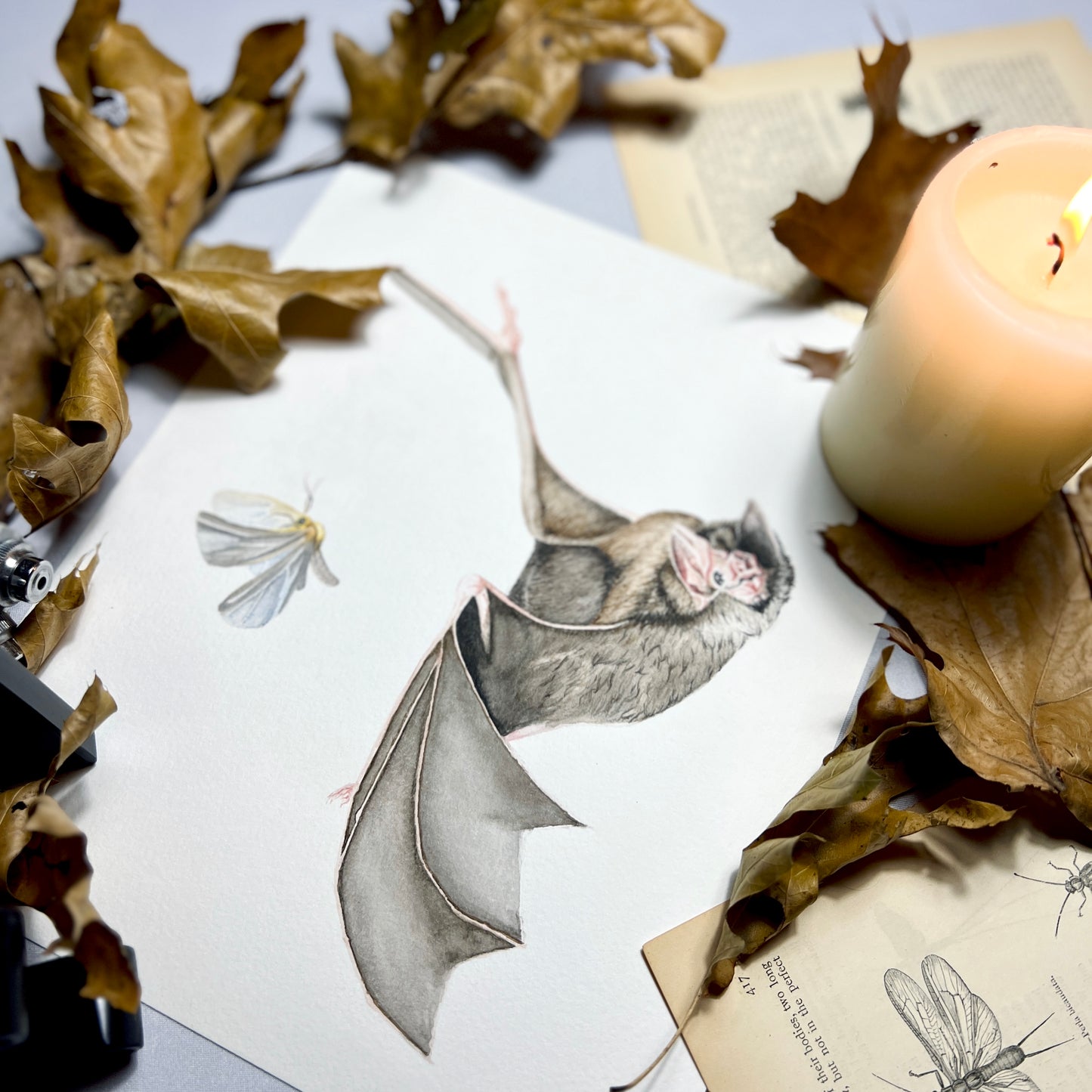 Bat & Moth Art Print - Nyx