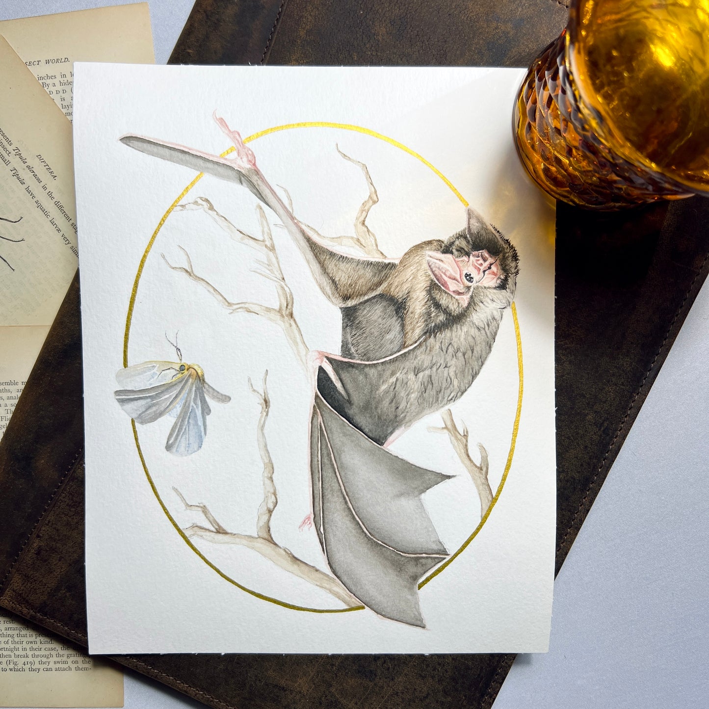 Bat & Moth Art Print (Light) - Nyx