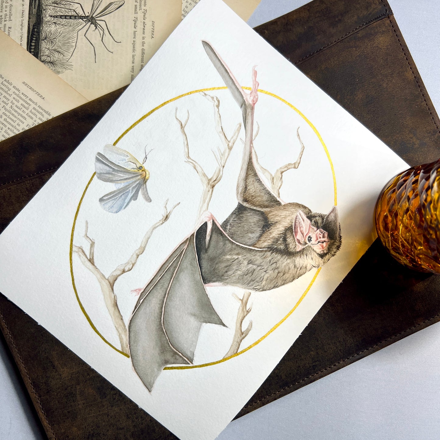 Bat & Moth Art Print (Light) - Nyx