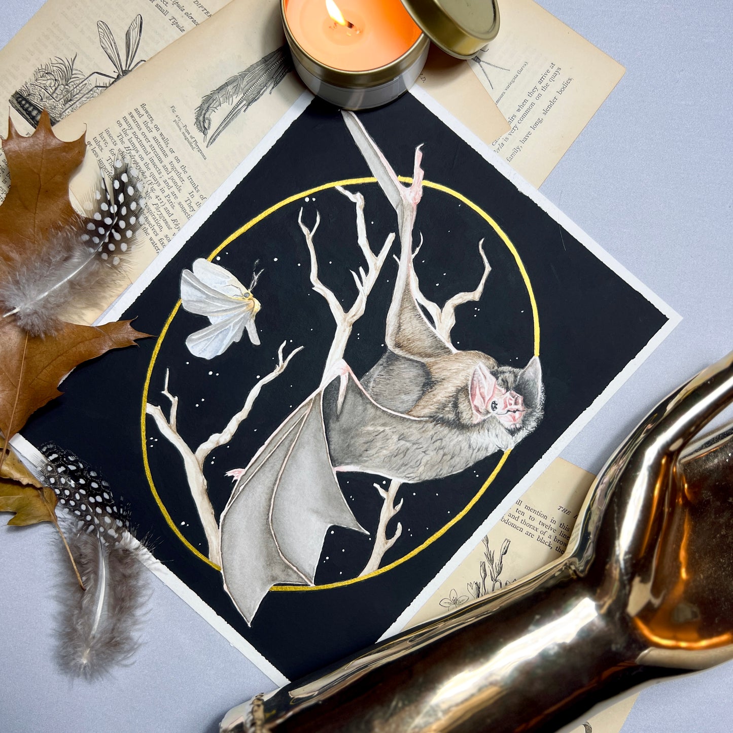 Bat & Moth Art Print (Dark) - Nyx