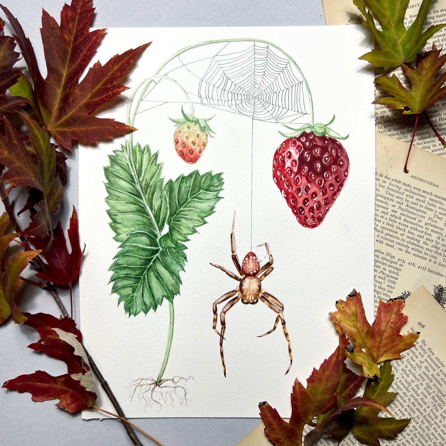 Strawberry Spider Art Print - Radcliff