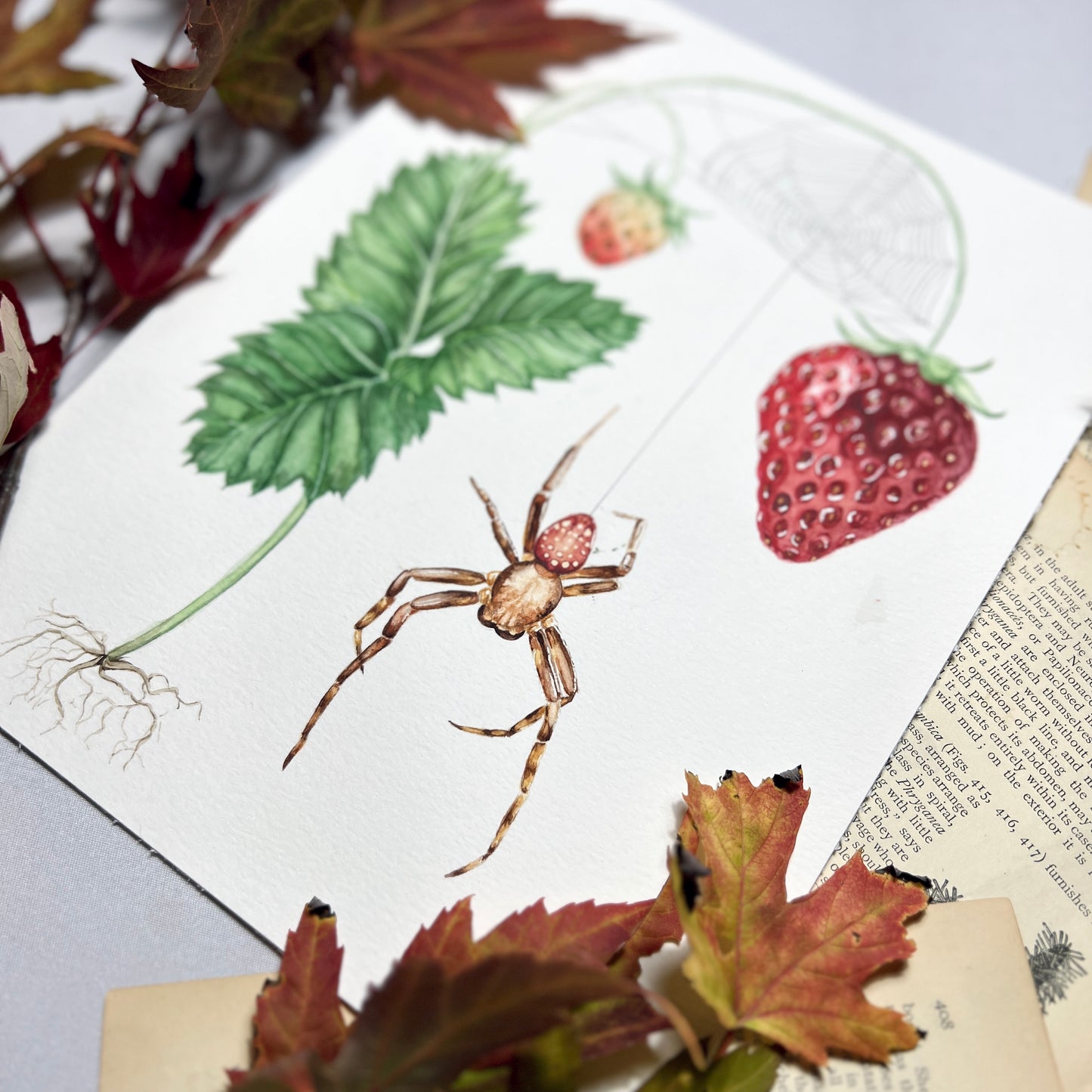 Strawberry Spider Art Print - Radcliff