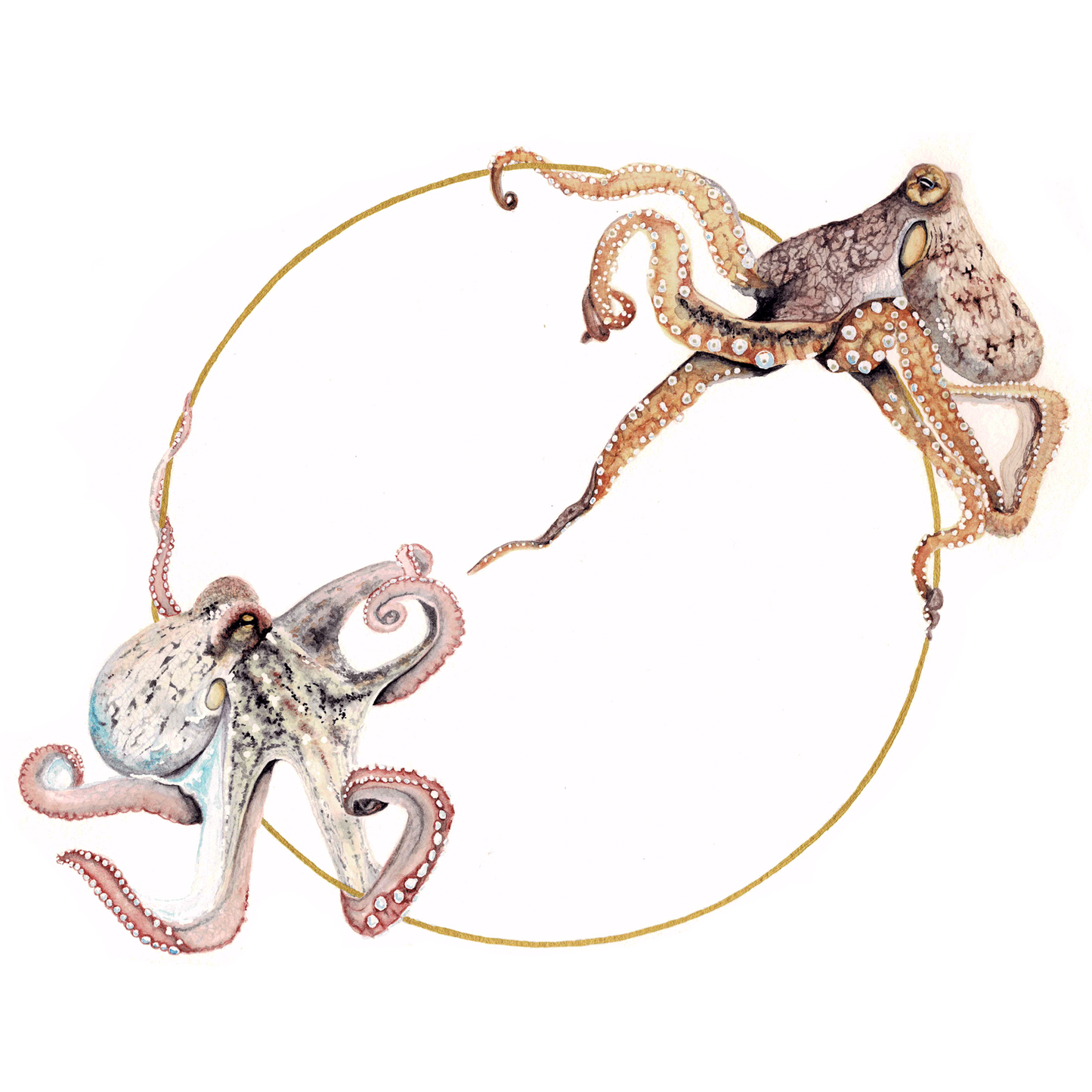 Octopus Art Print - Sol & Lune