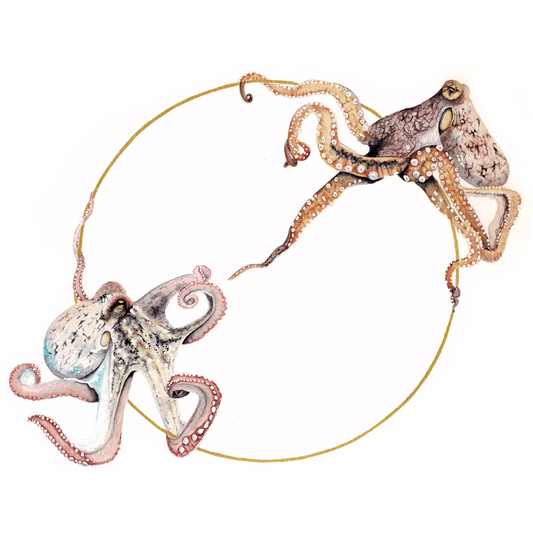 Octopus Art Print - Sol & Lune