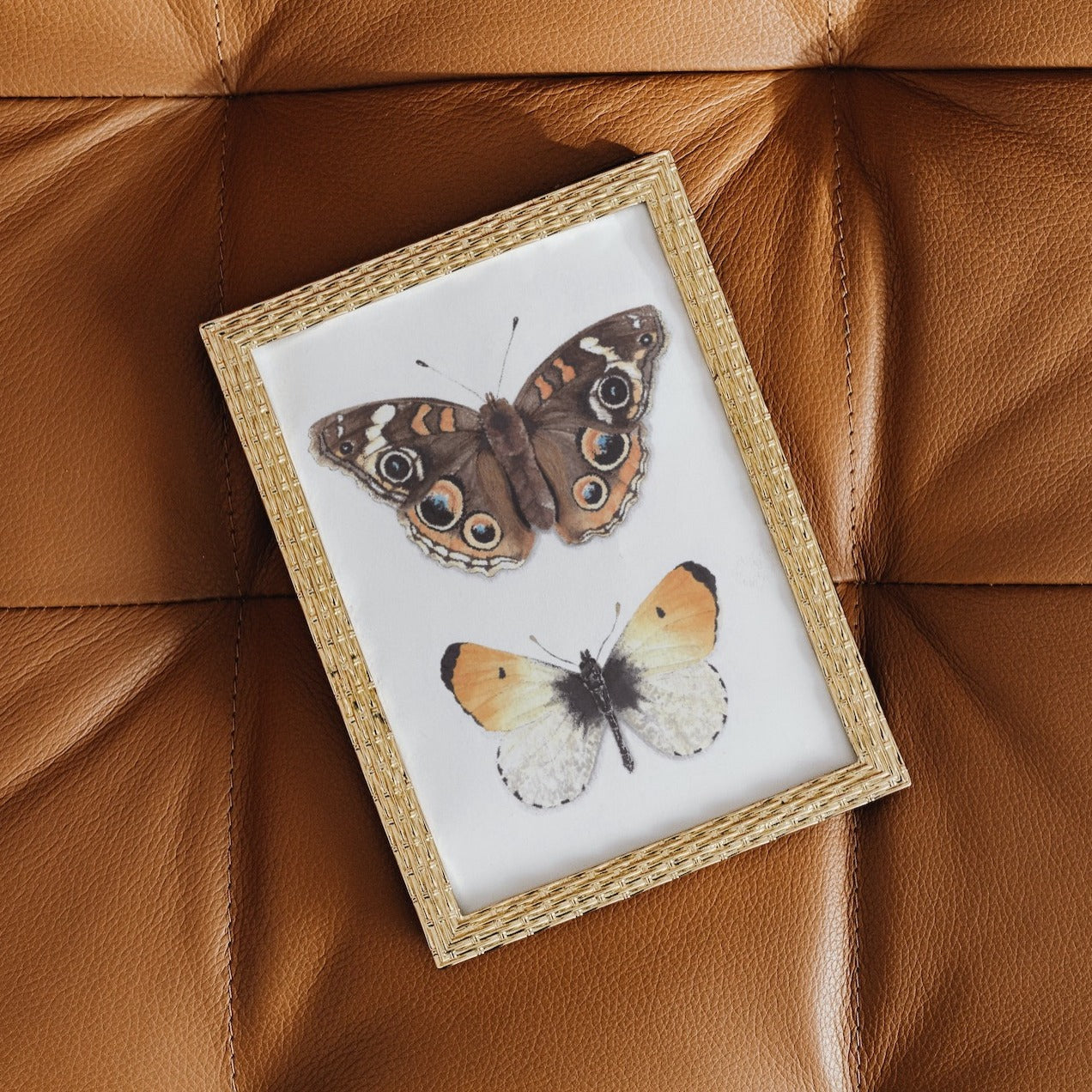 Buckeye & Orangetip Butterfly Art Print - Jophiel & Julius