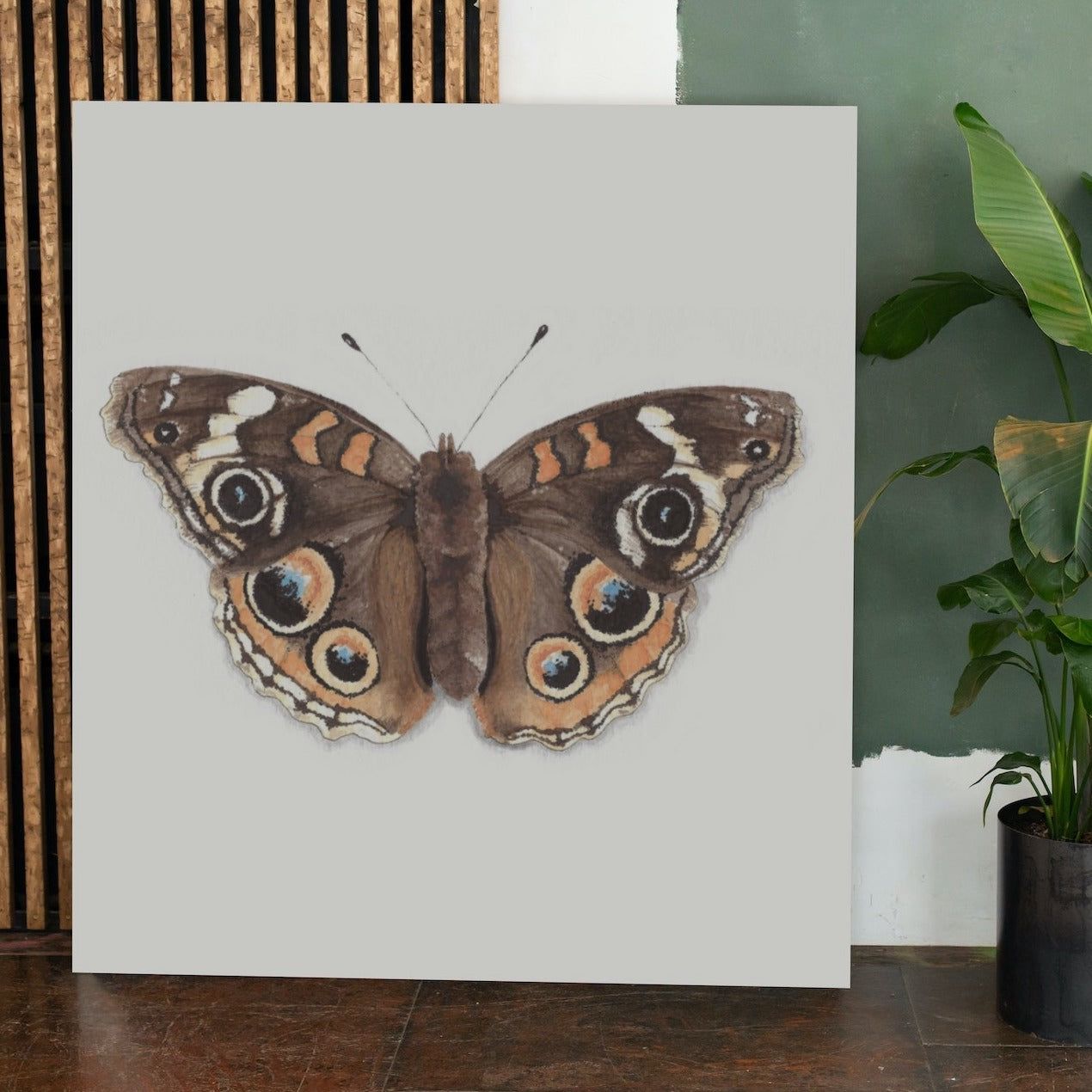 Common Buckeye Butterfly Art Print - Jophiel