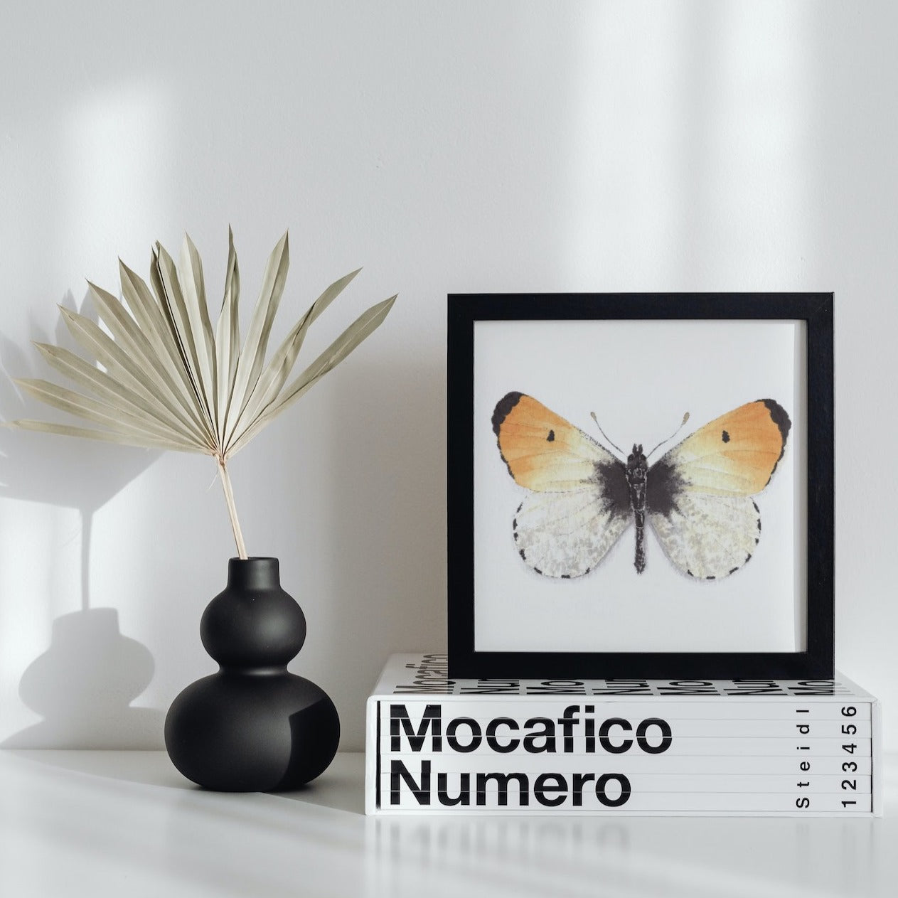 Orangetip Butterfly Art Print - Julius