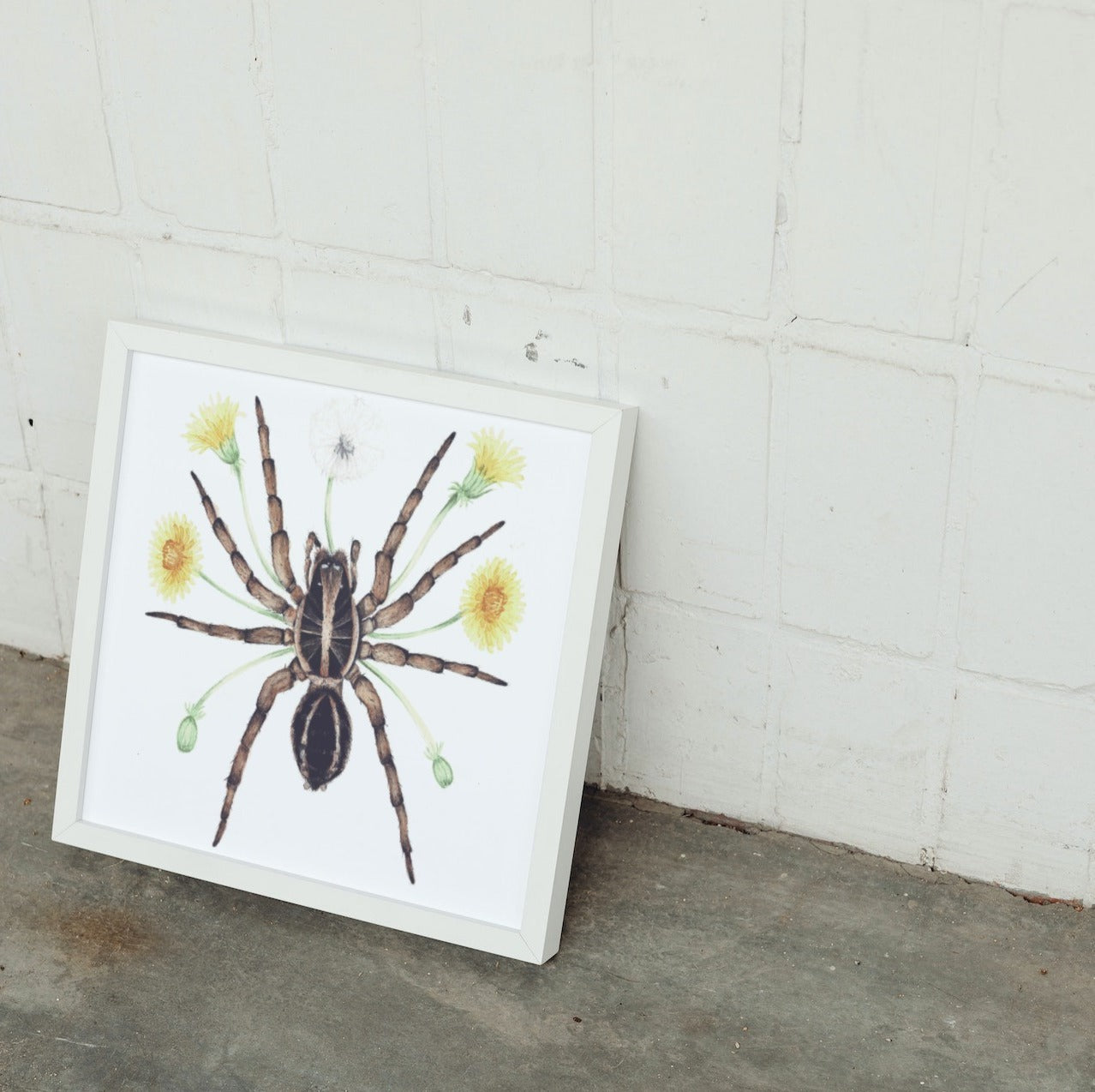 Wolf Spider Art Print - Sahar