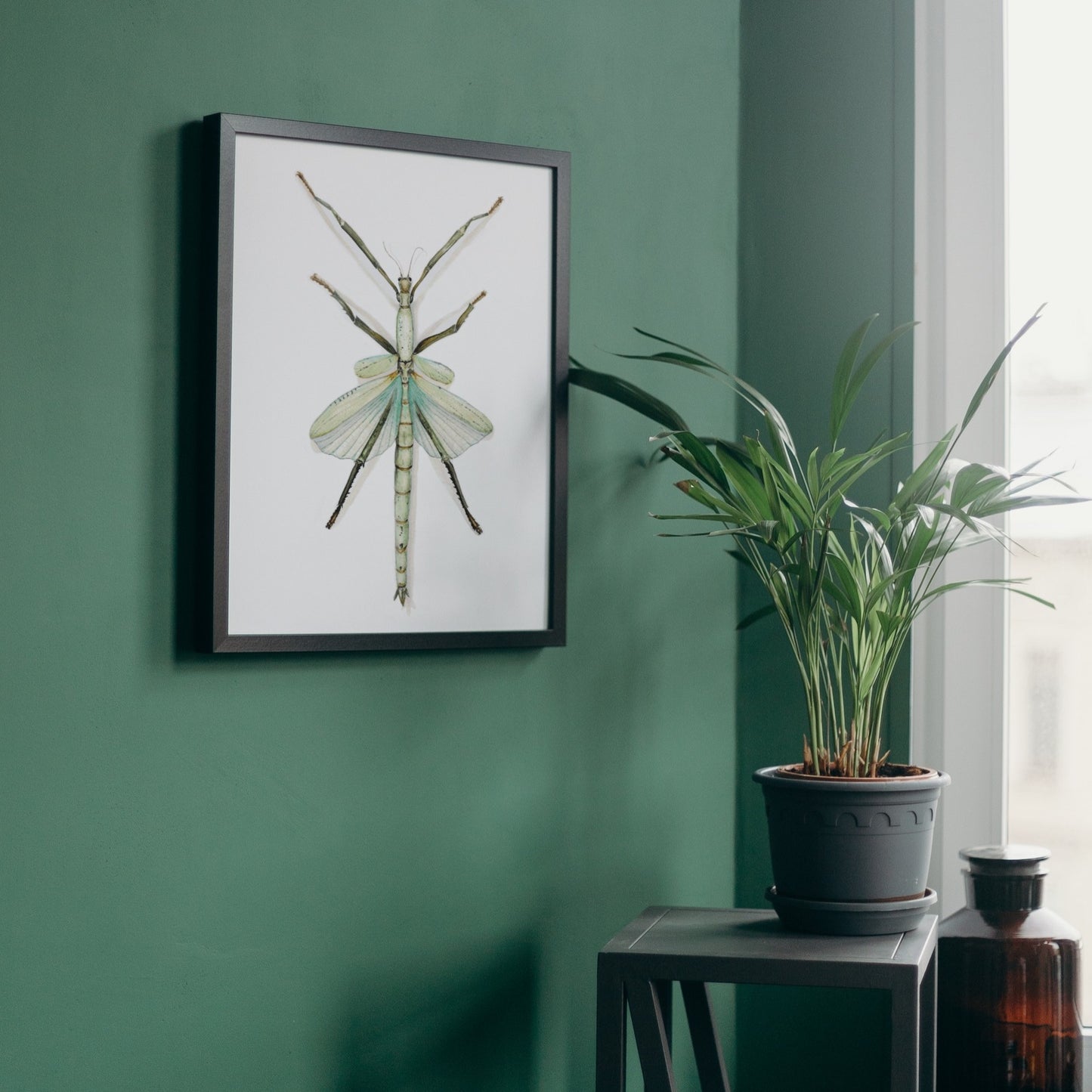 Stick Insect Art Print - Orin