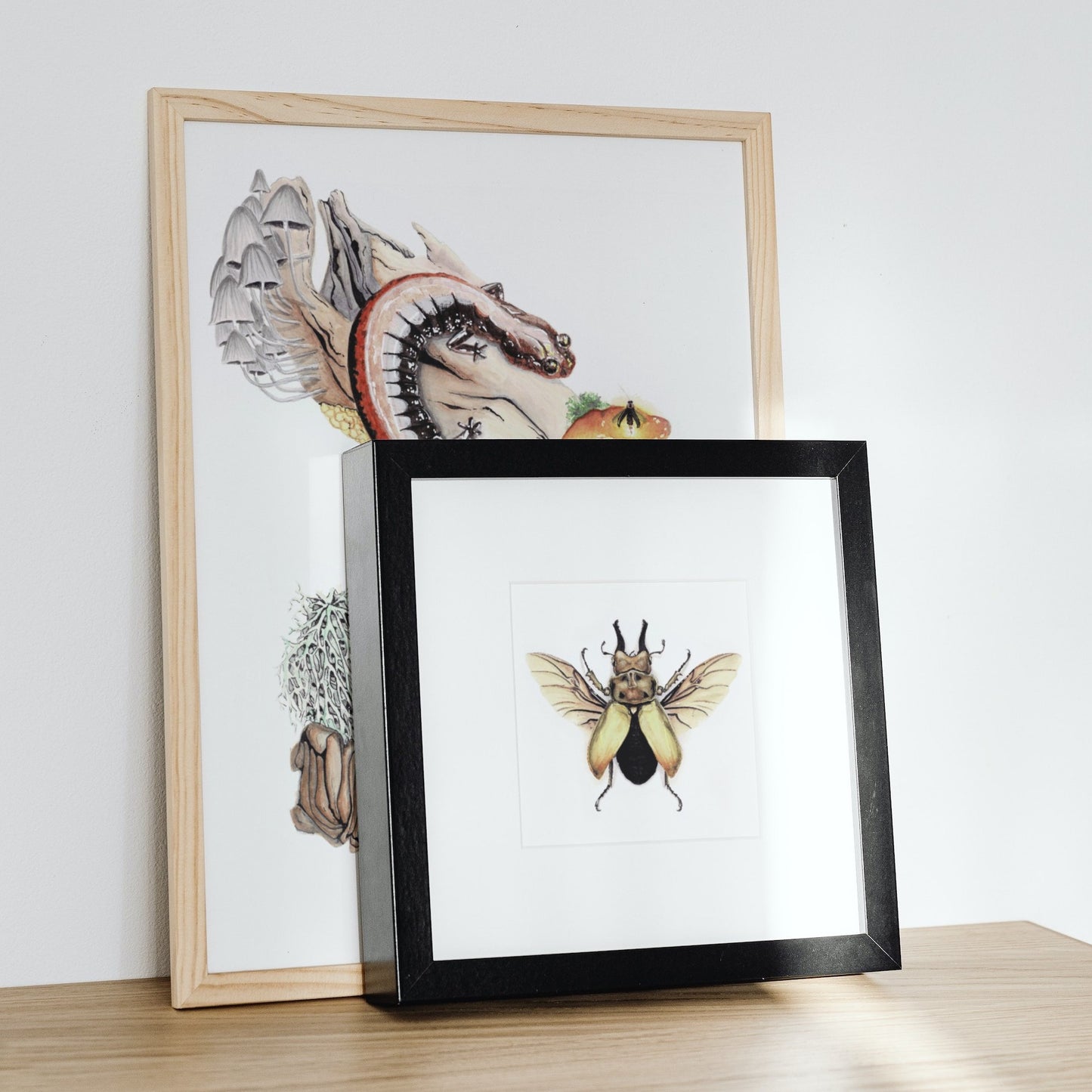 Stag Beetle Art Print - Augustus