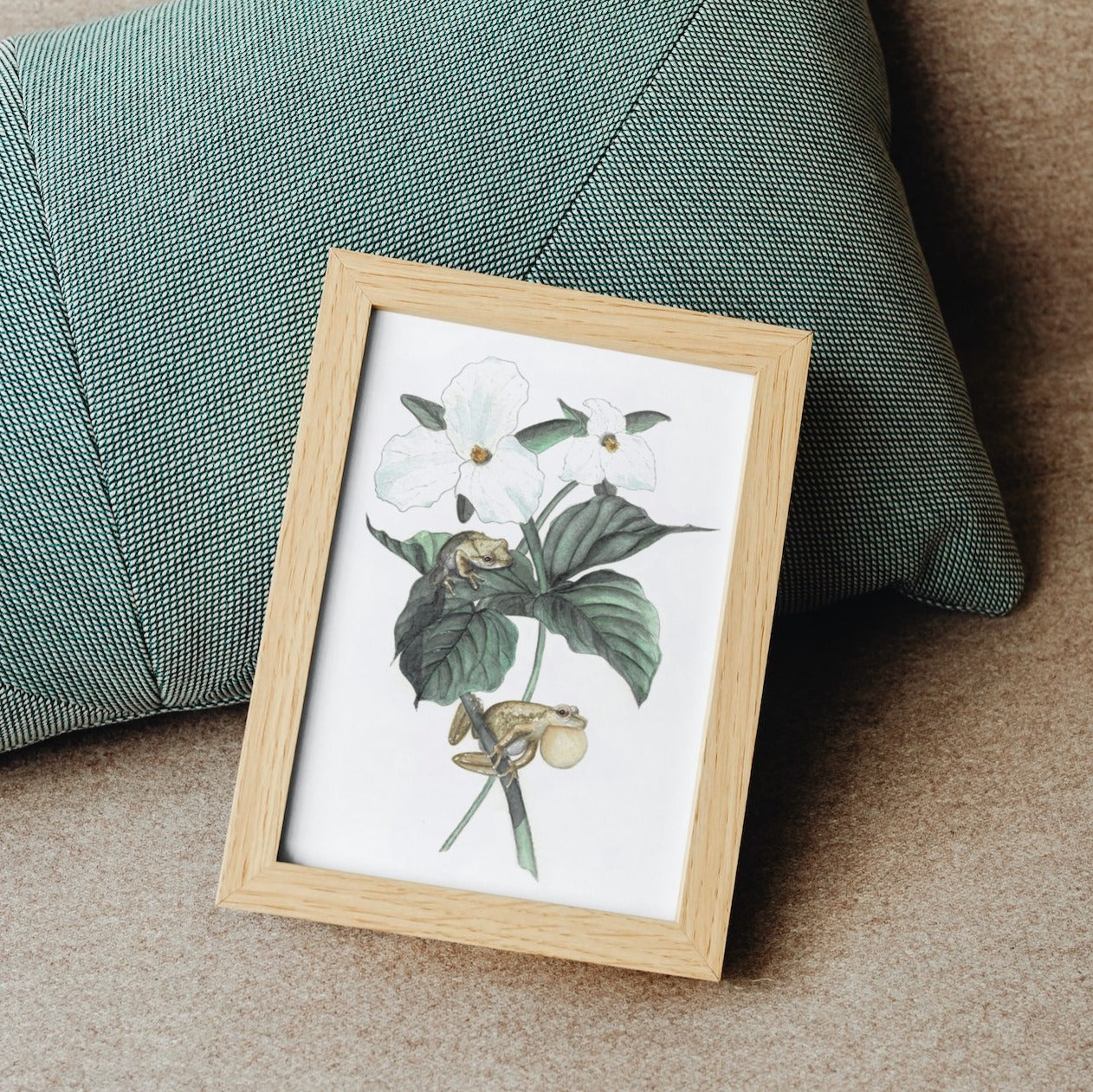 Spring Peeper Art Print - Ella & Louis