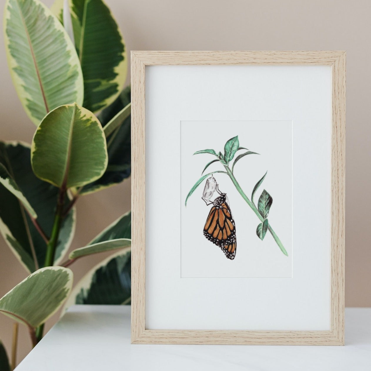 Monarch Butterfly Art Print - Anastasia