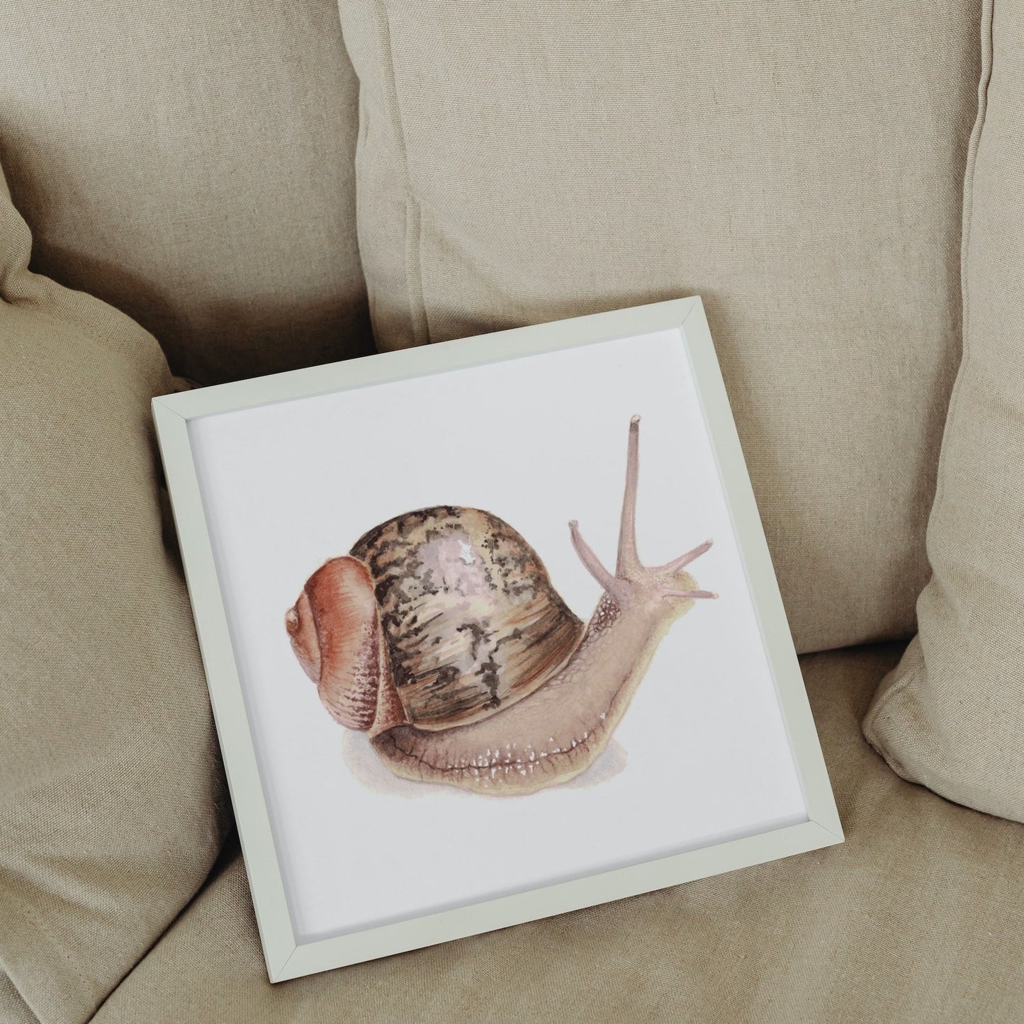 Garden Snail Art Print - Ciel