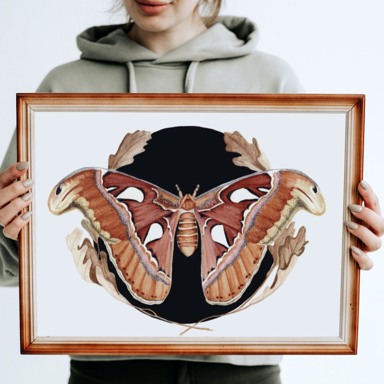 Atlas Moth Art Print (Dark) - Maple