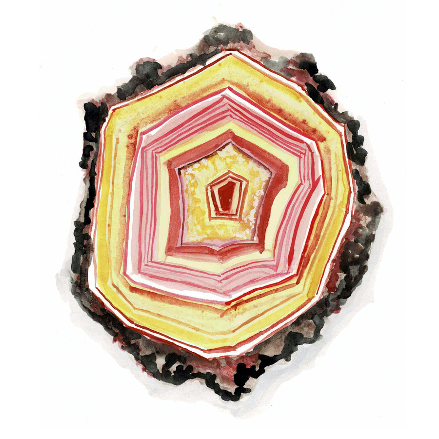 Condor Agate Art Print - Mina