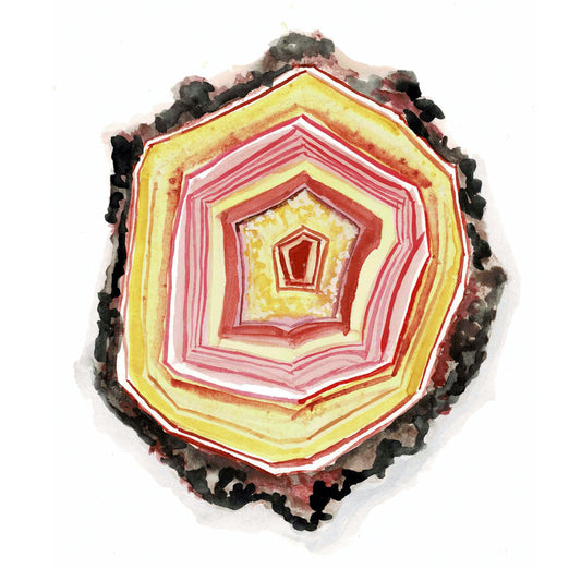 Condor Agate Art Print - Mina