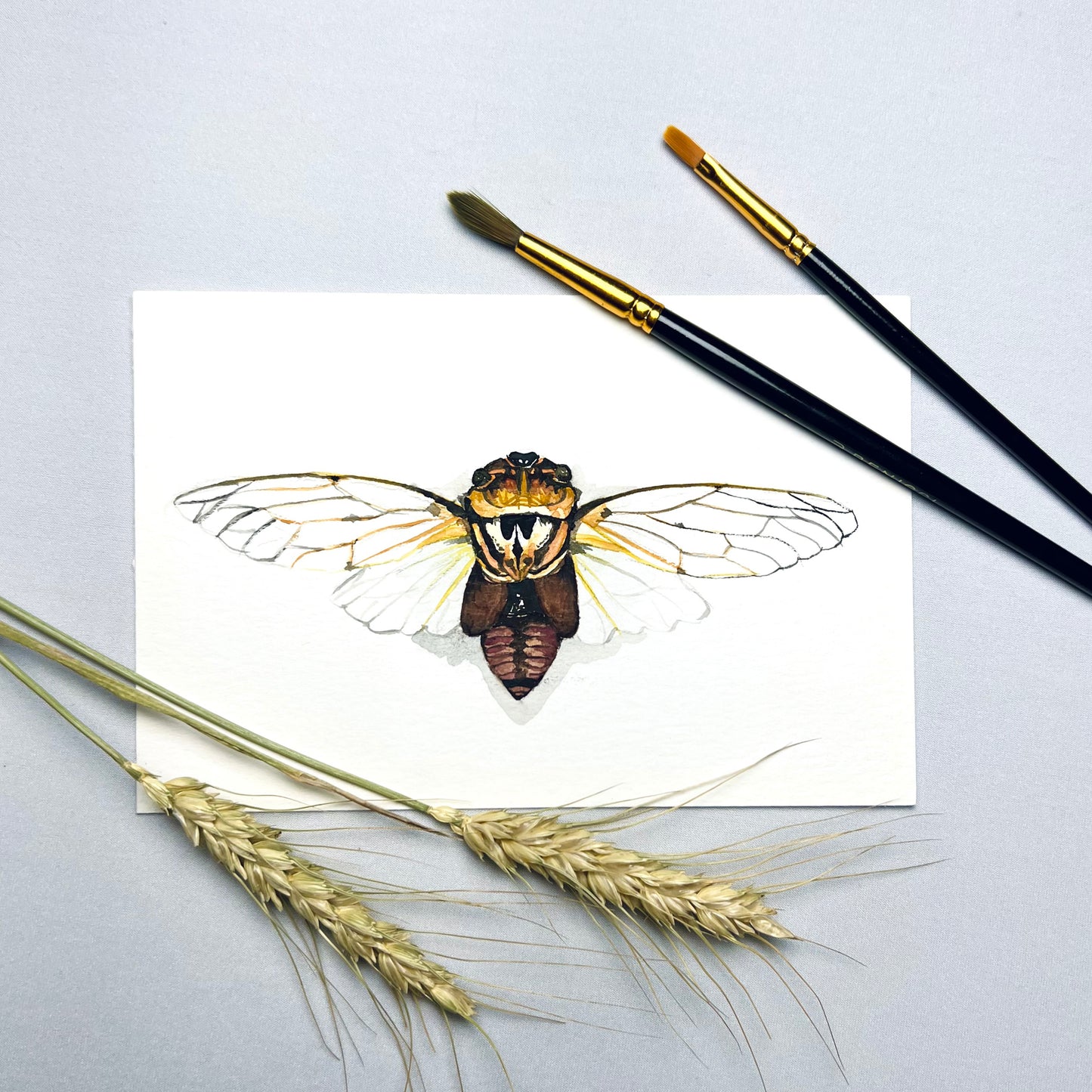 Masked Devil Cicada Art Print - Calypso