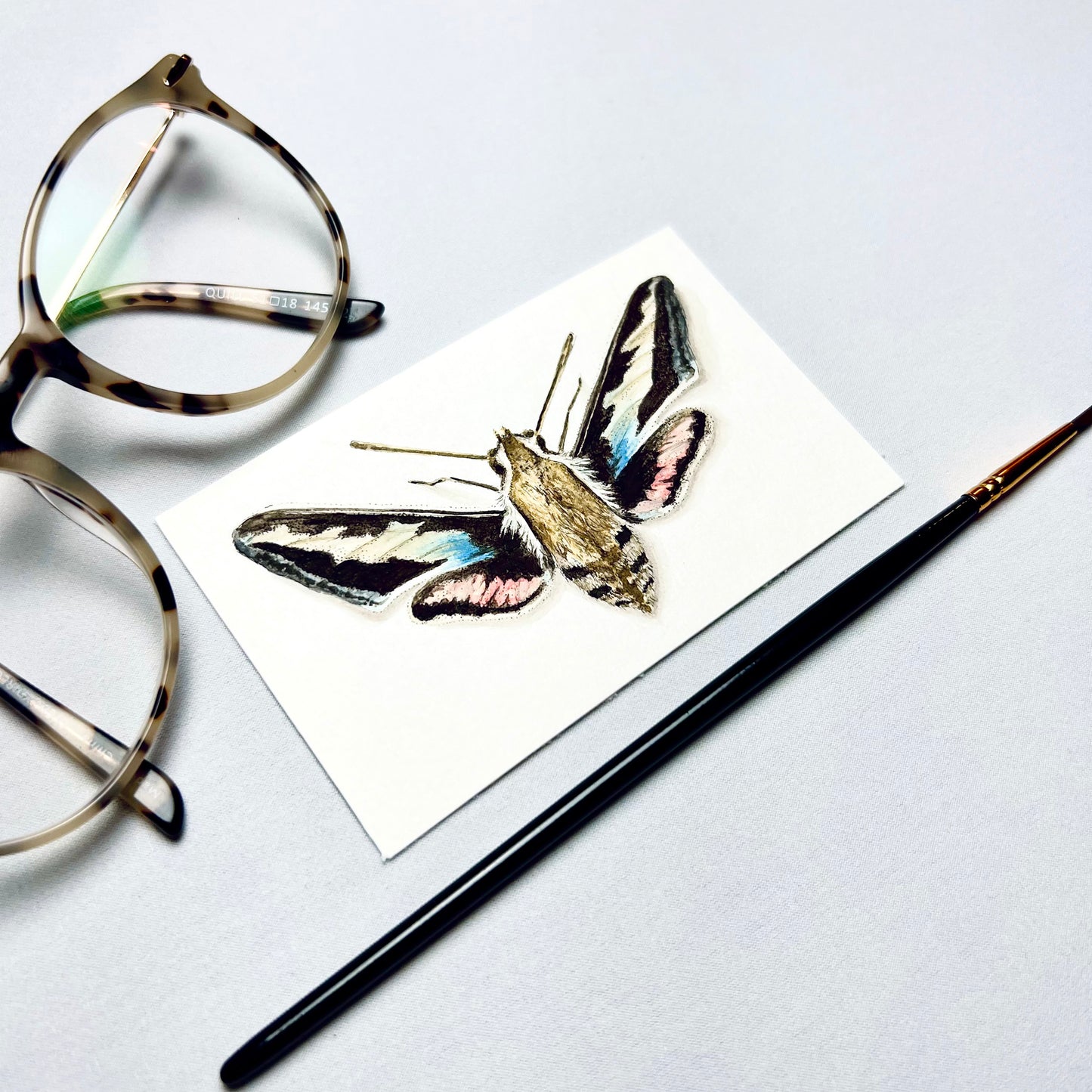 Hawk Moth Art Print - Enoch