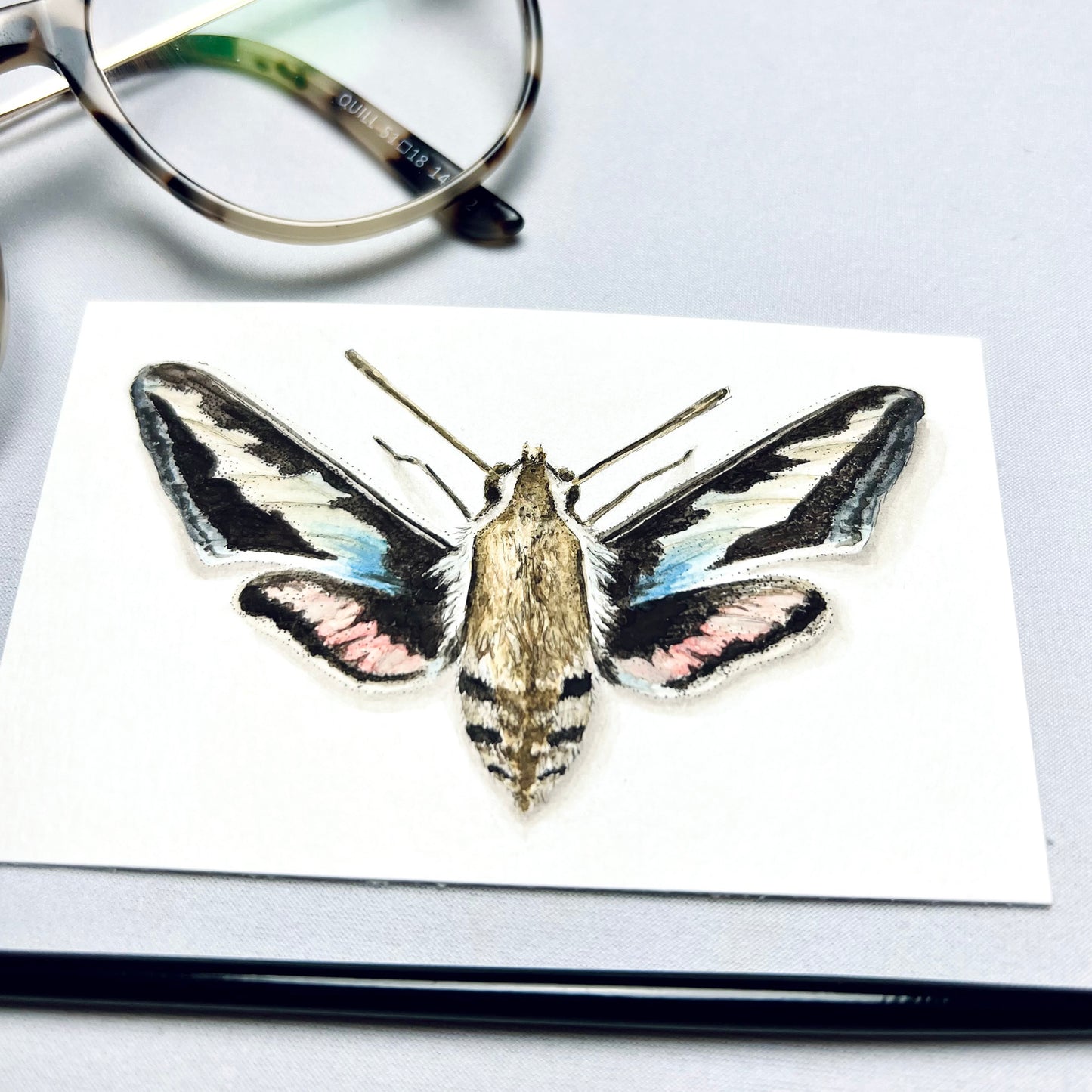 Hawk Moth Art Print - Enoch