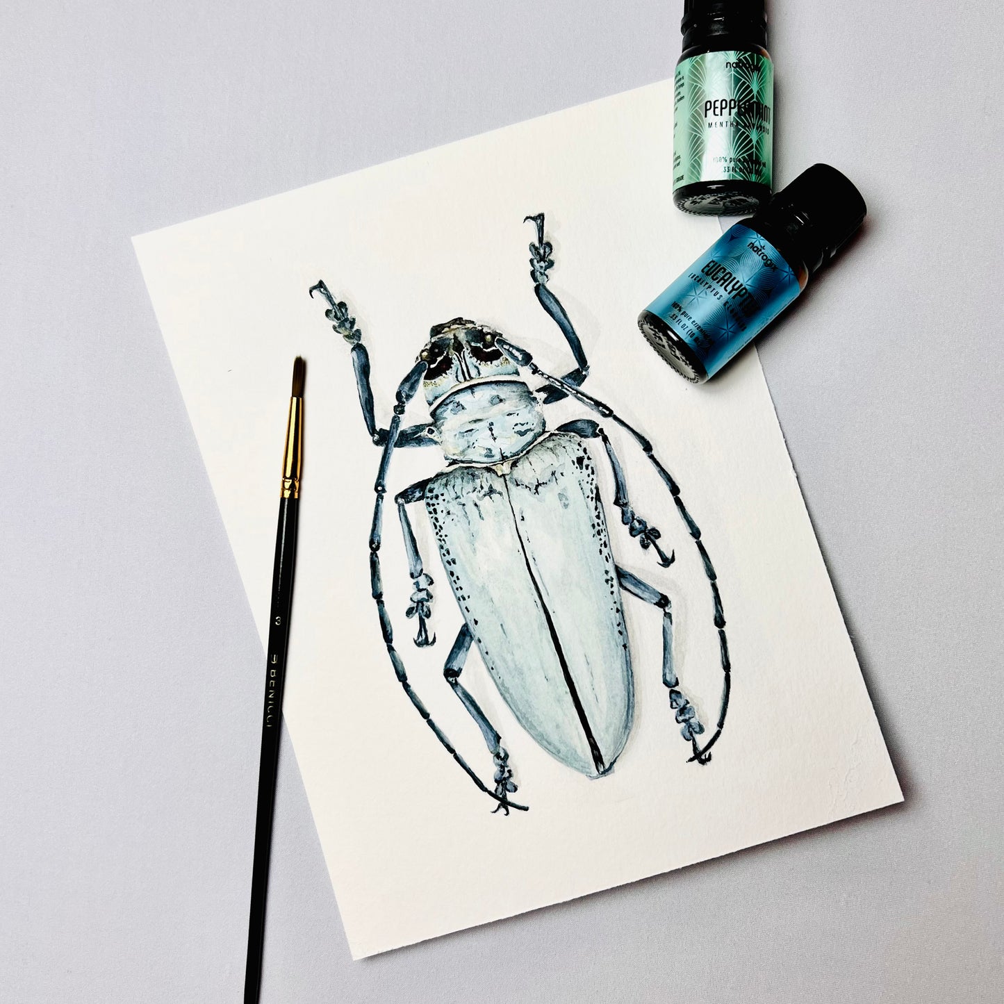 Longhorn Beetle Art Print- Idris