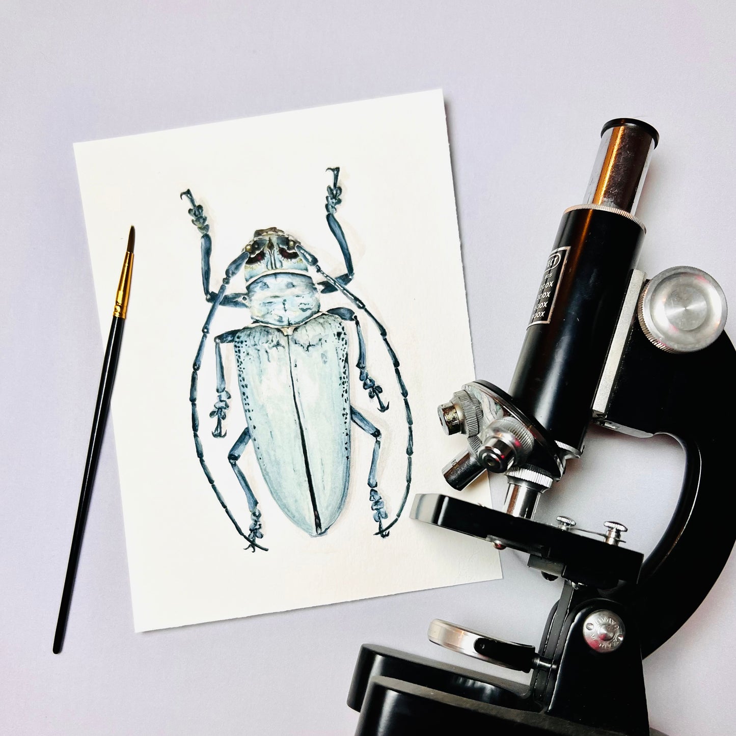 Longhorn Beetle Art Print- Idris
