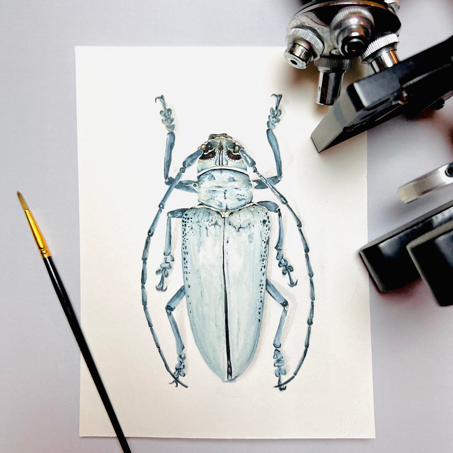 Longhorn Beetle Art Print- Idris