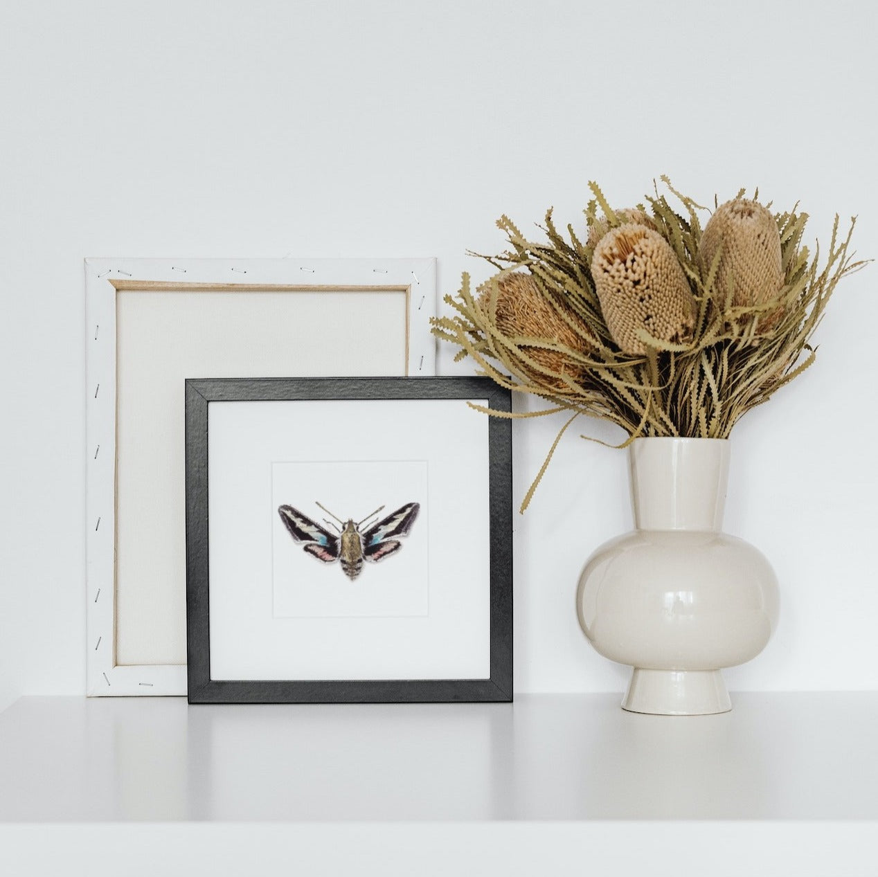 Hawk Moth Art Print - Enoch