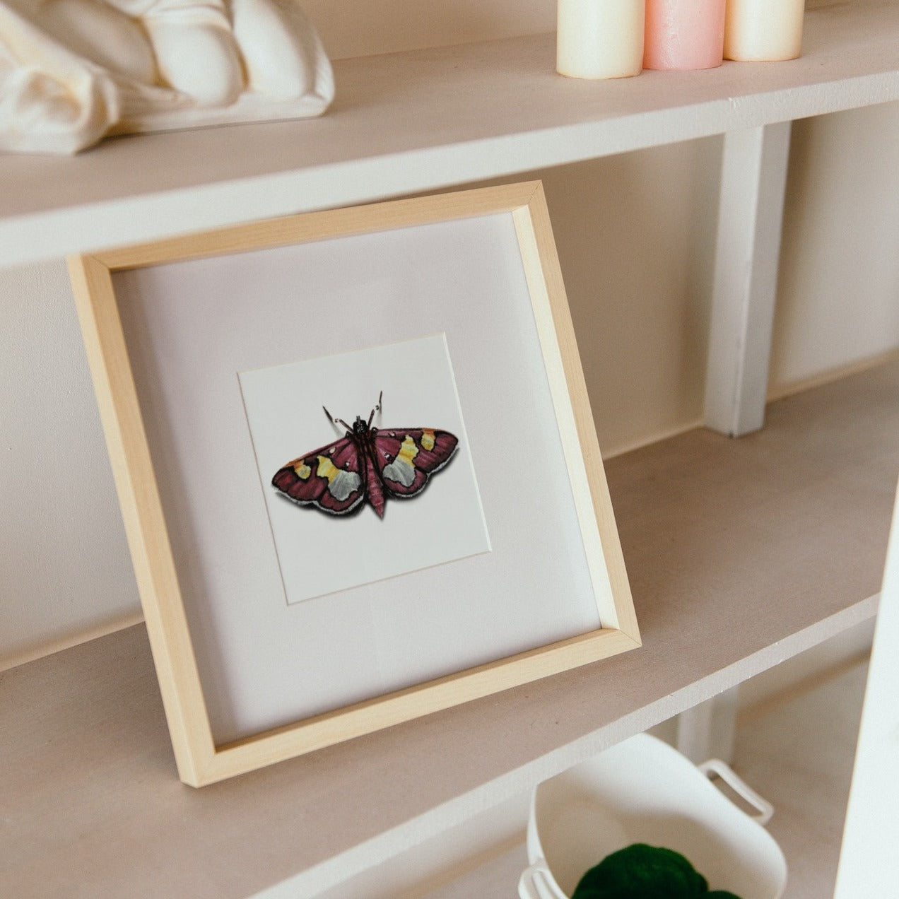 Colomychus Moth Art Print - Juno