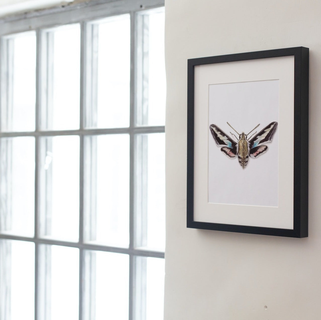 Hawk Moth Art Print - Enoch