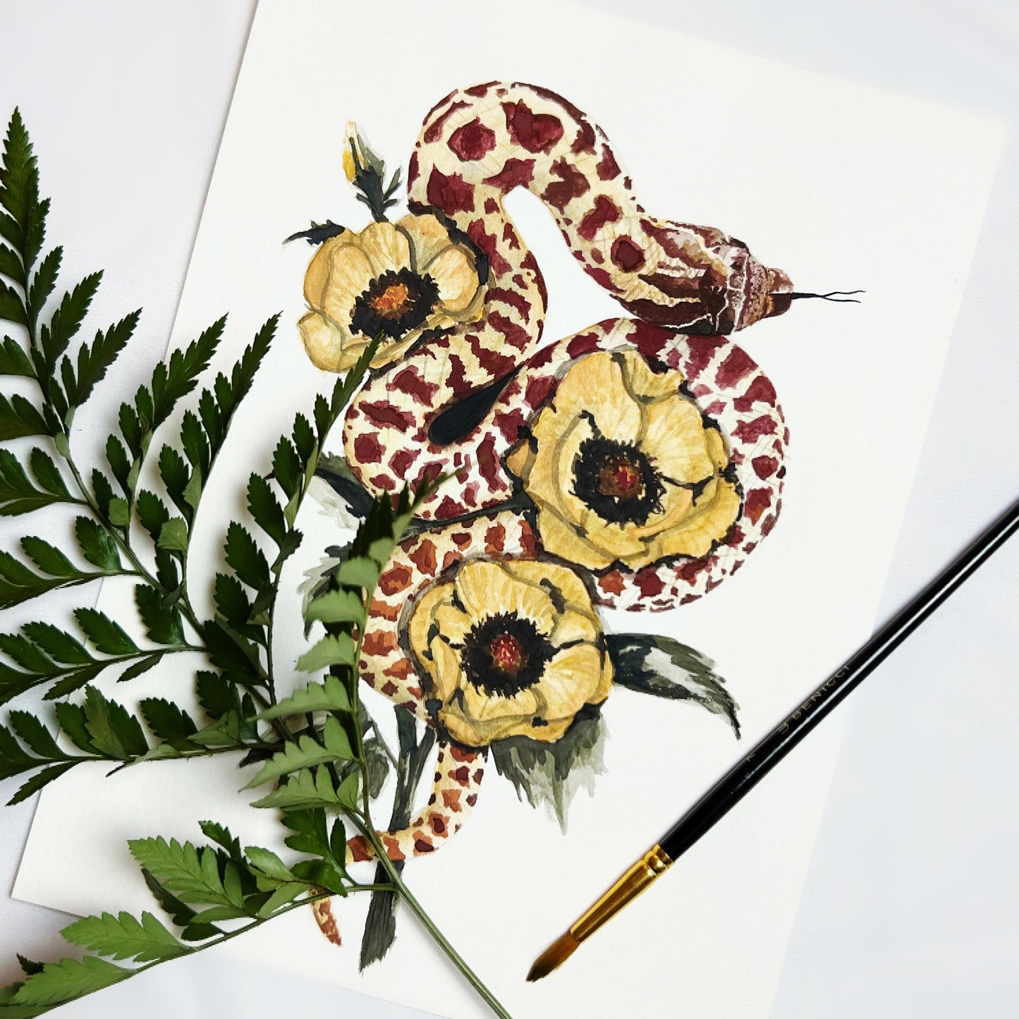 Western Hognose Snake Art Print - Helix