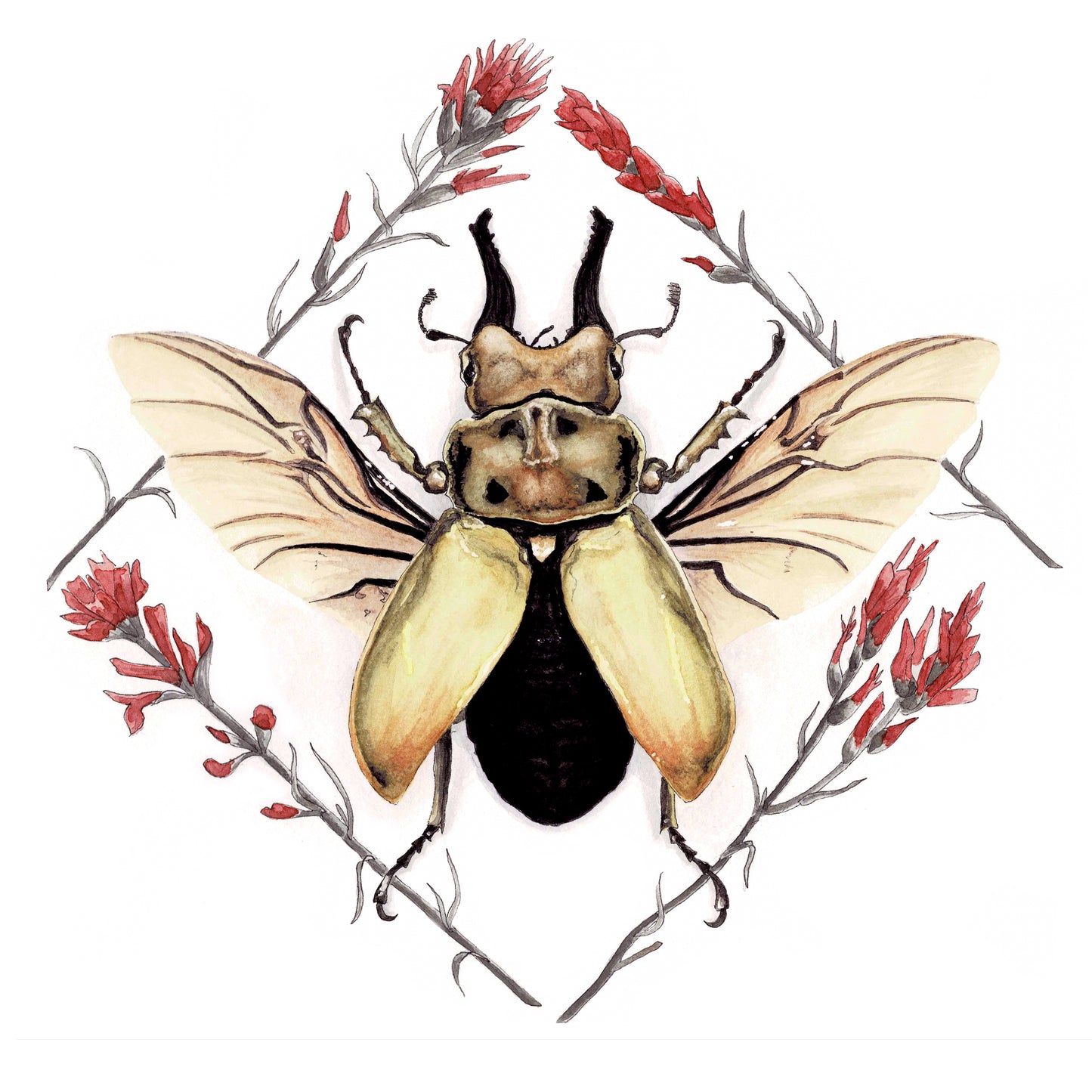 Stag Beetle Art Print - Aurelian
