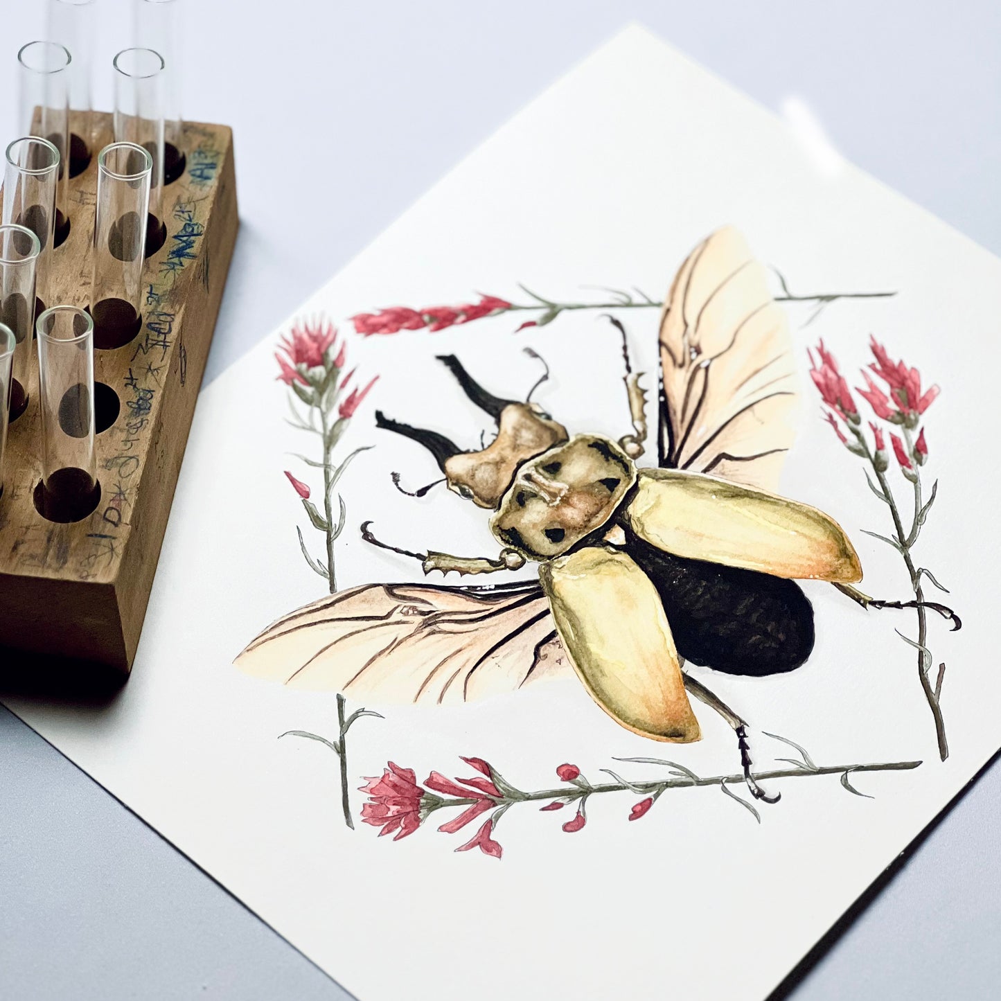 Stag Beetle Art Print - Aurelian